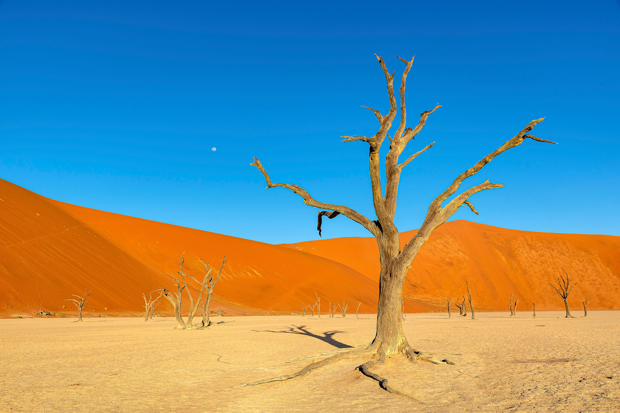 Dead Vlei at Sunset 2