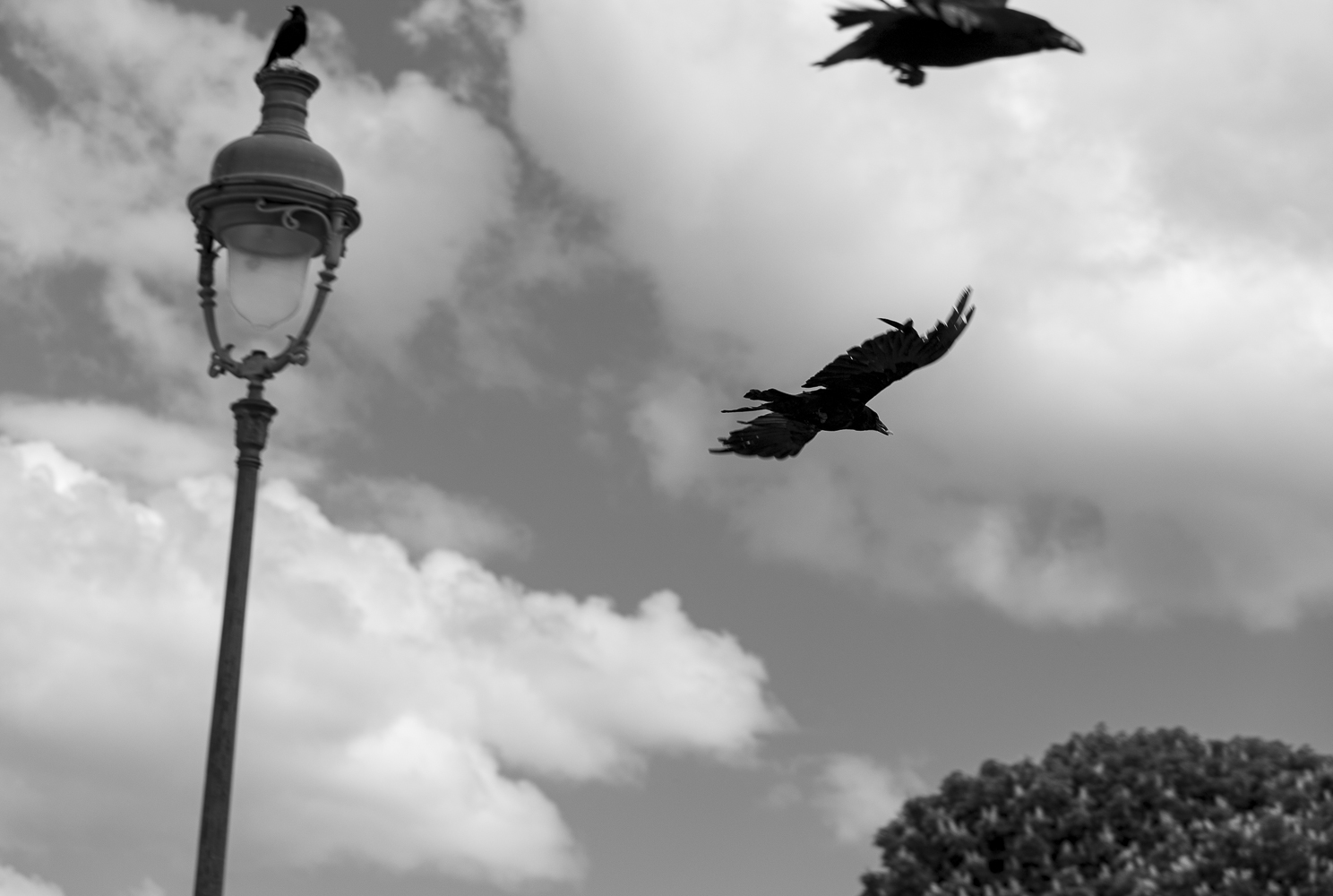 .. How do you exiles thoughts...