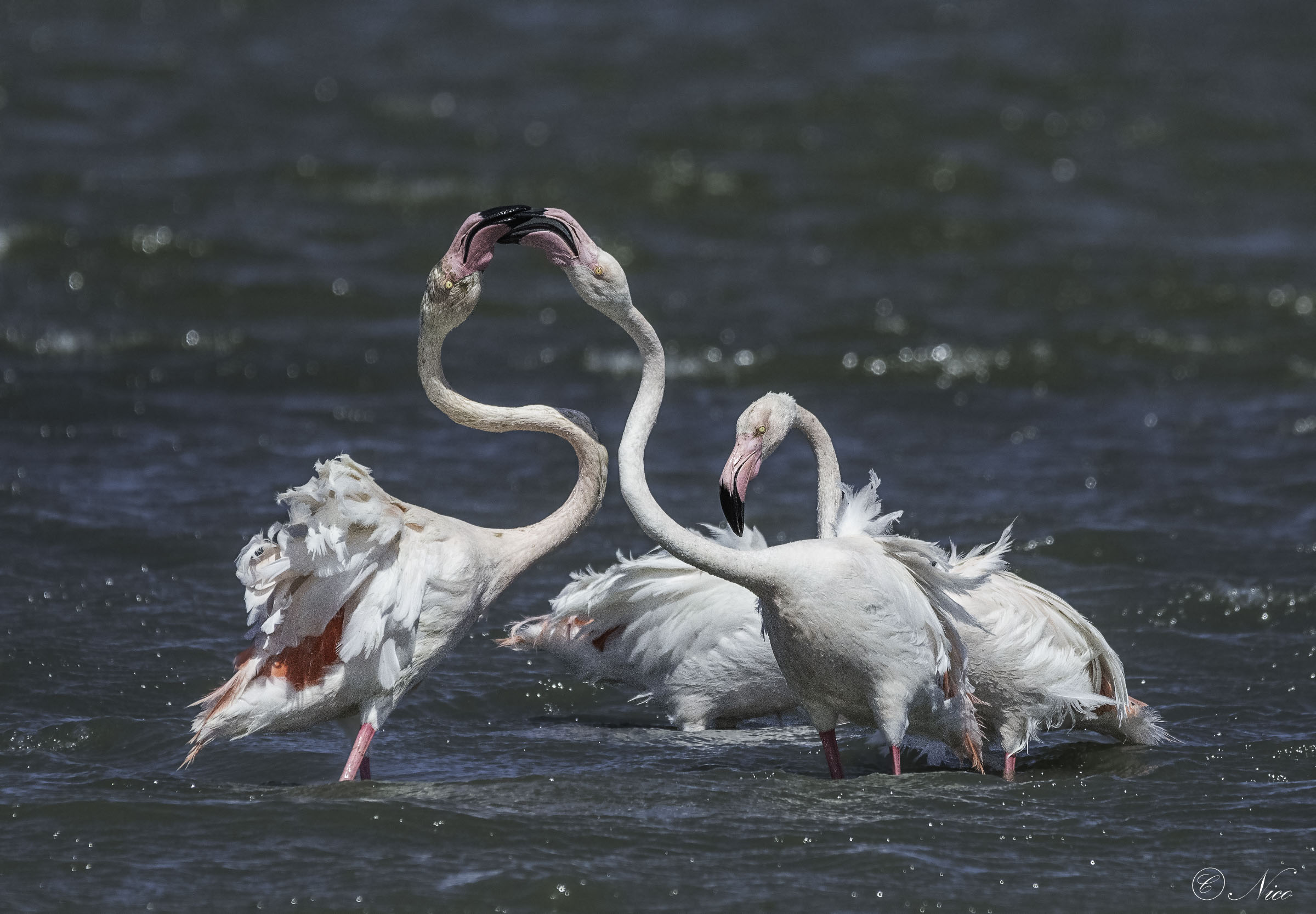 Struggling every day