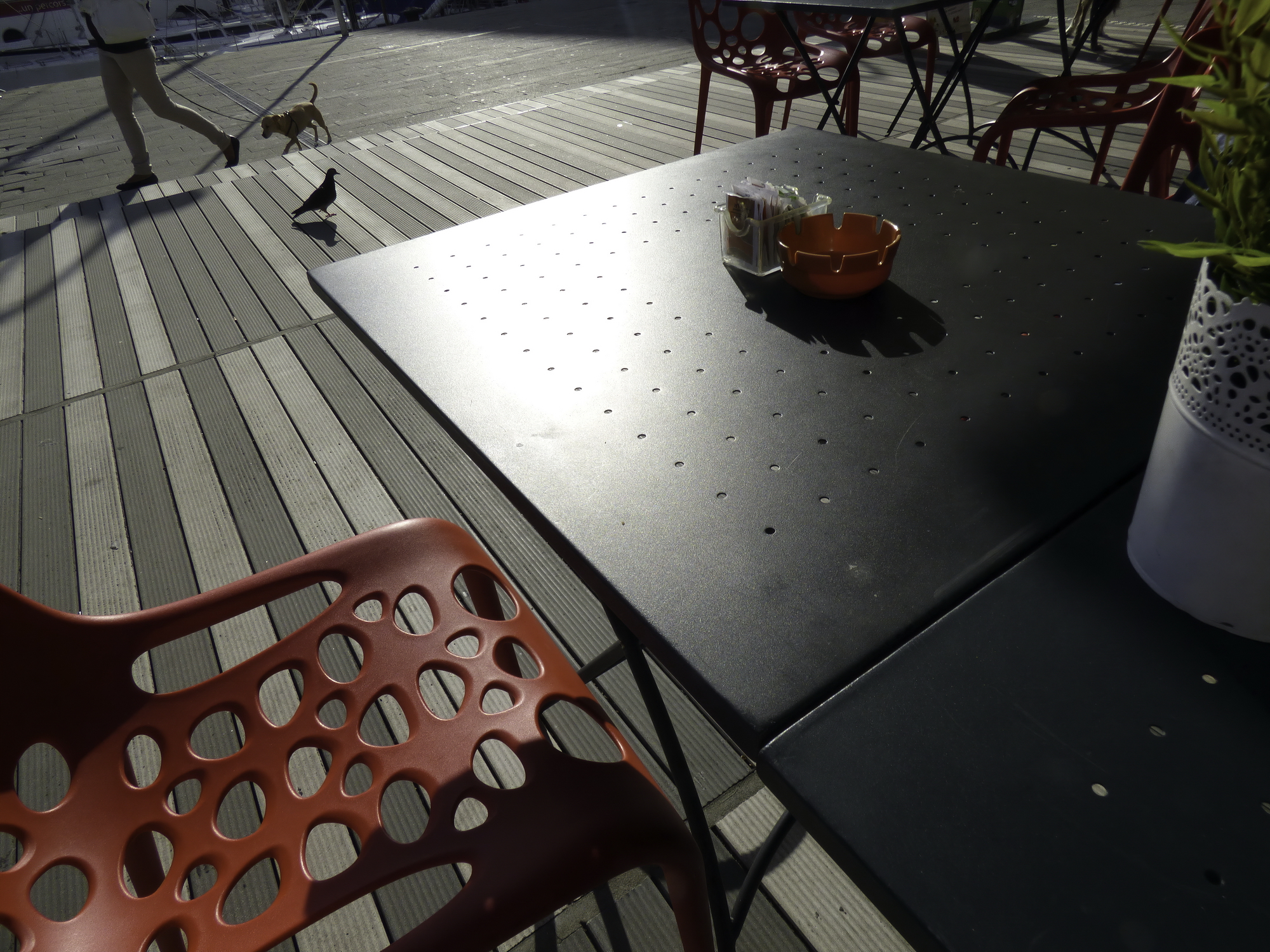 Sitting in that café, I just looked around me...