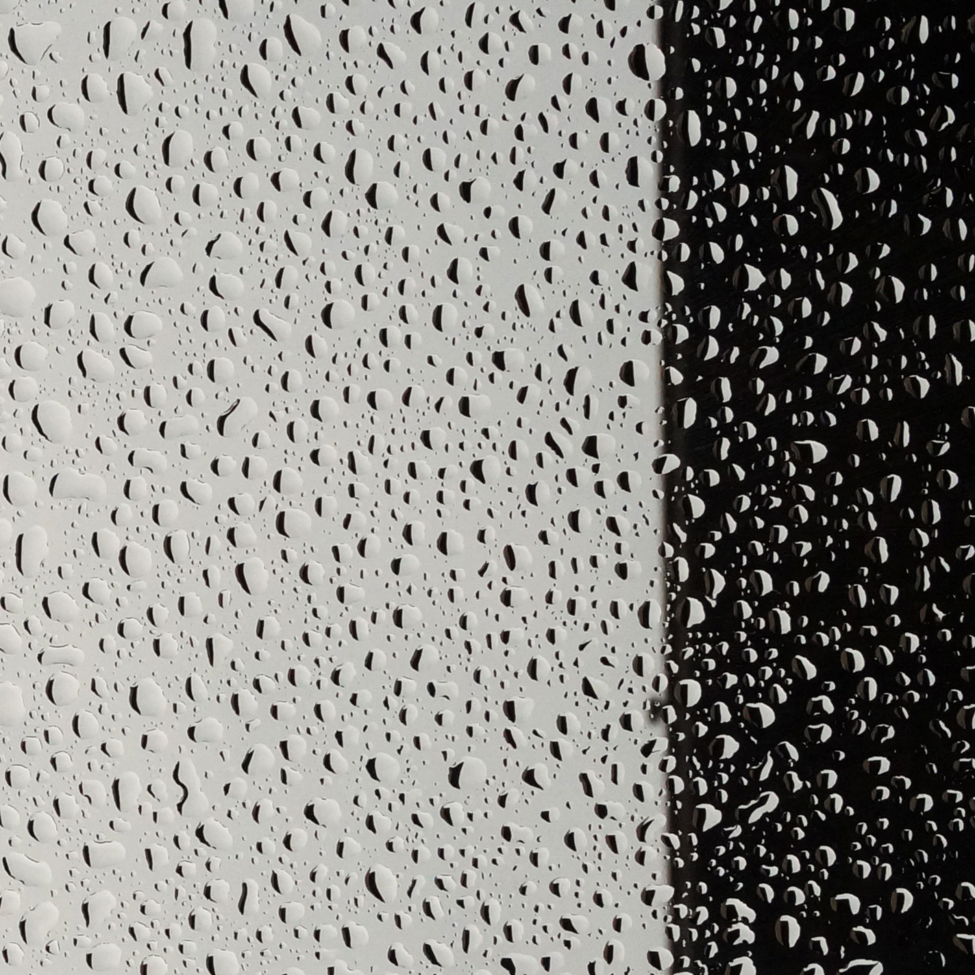 Dal bianco al nero