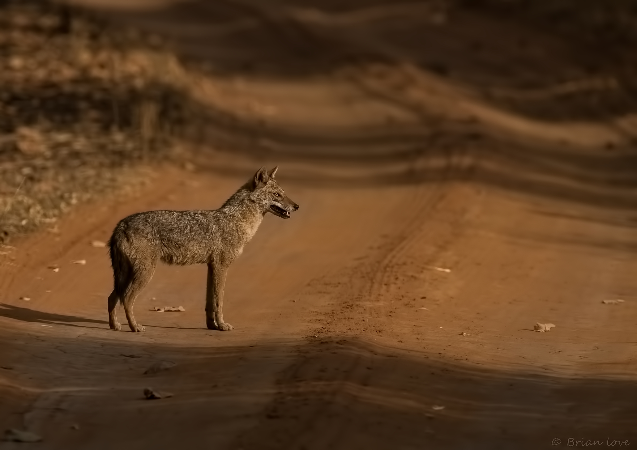 The Long and Winding Road