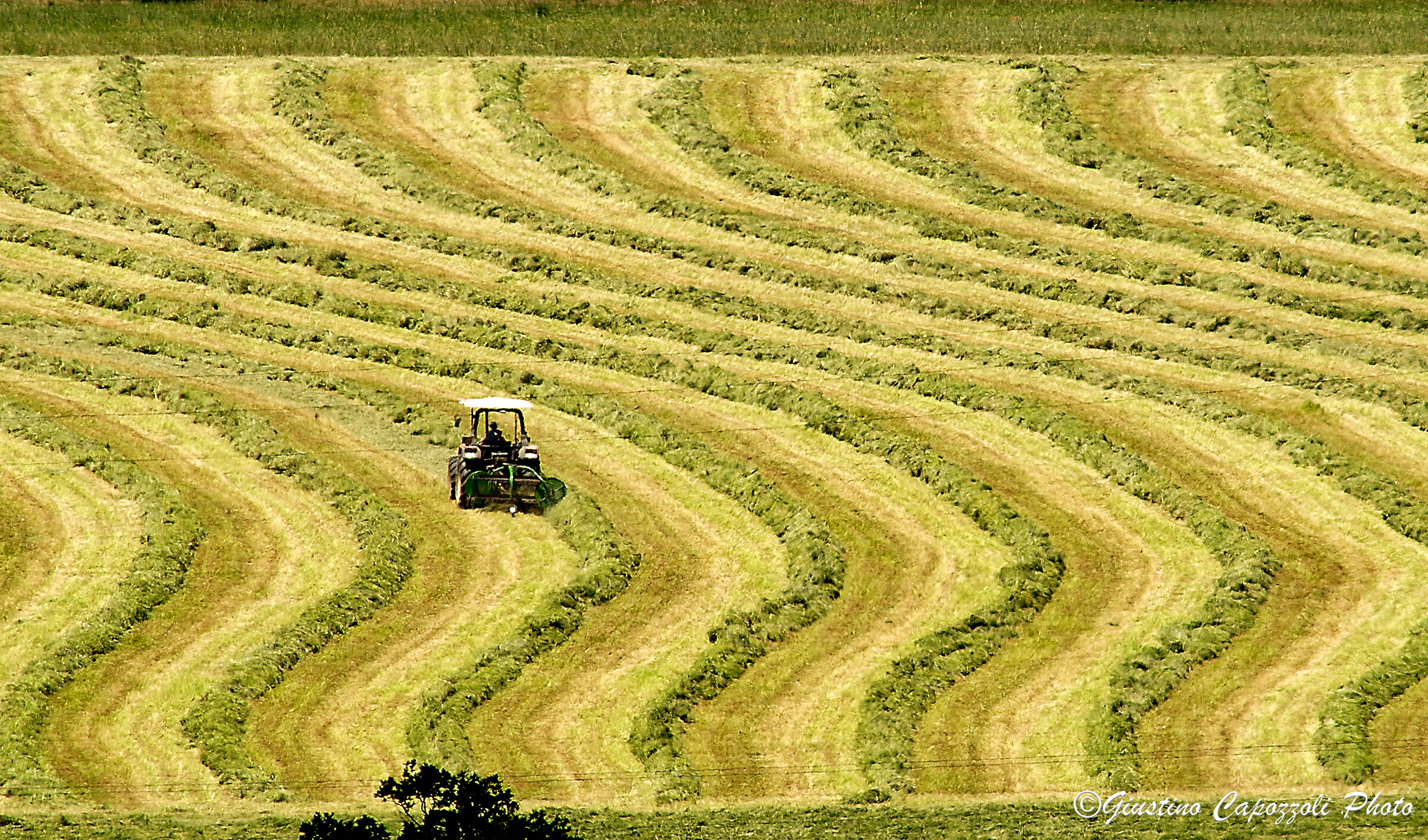 Mietere a regola d'arte