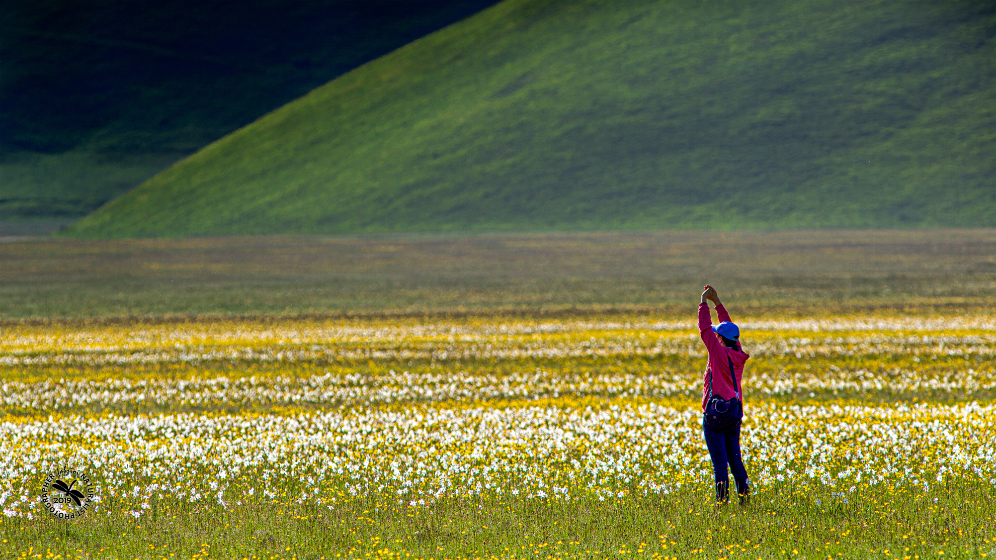 Buongiorno.... giorno!