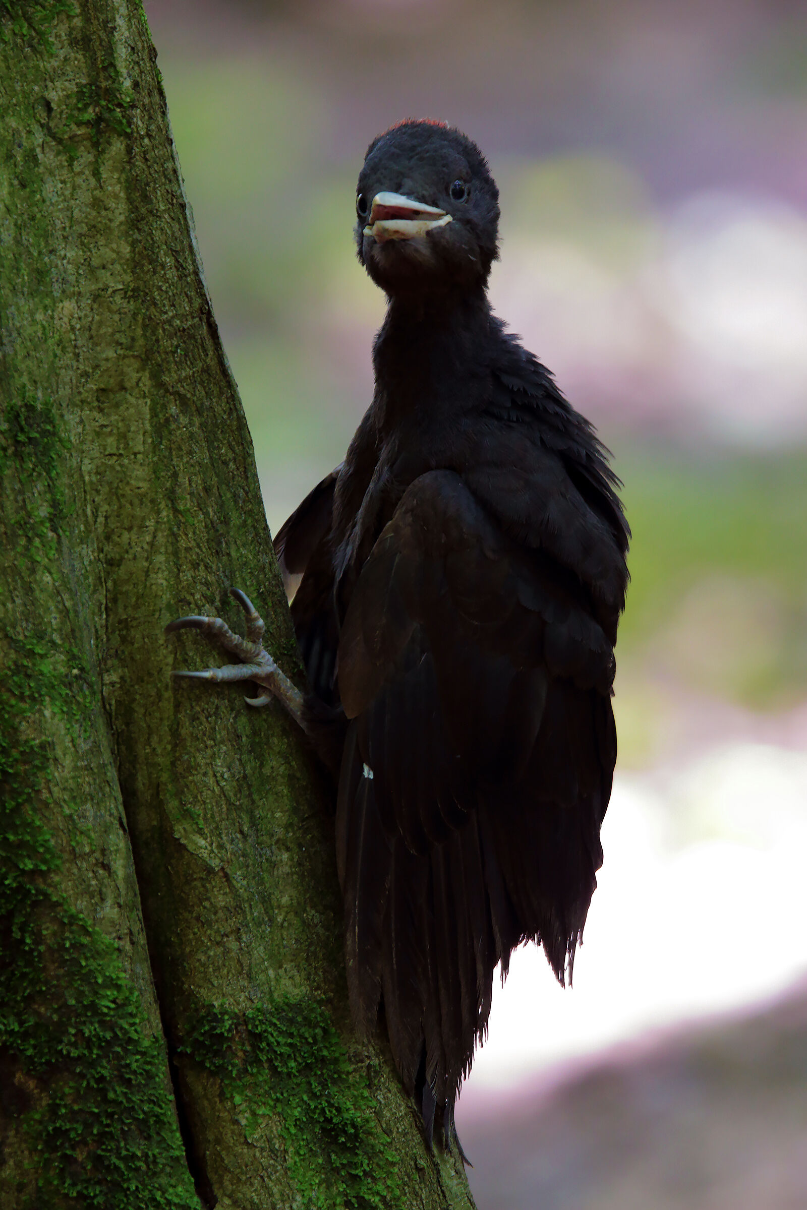 alla scoperta del mondo....