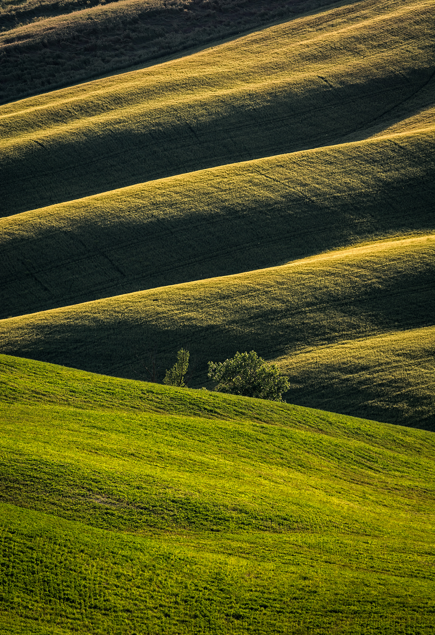 Hills in Val d'orcia