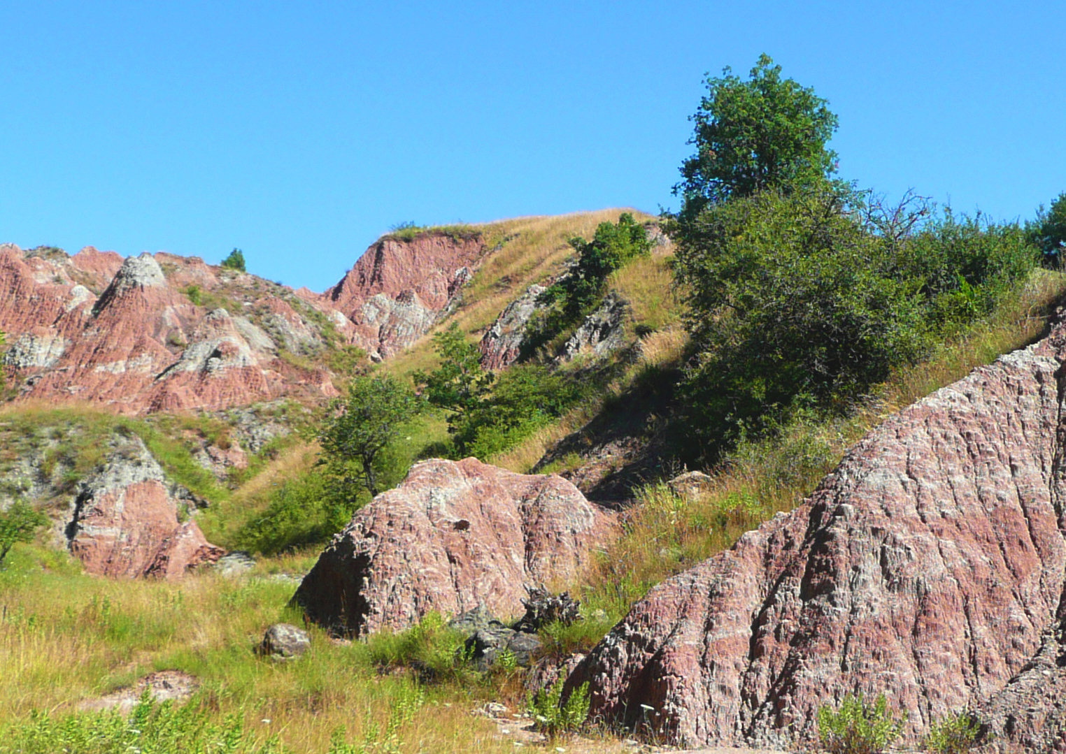apennino tosco-emiliano