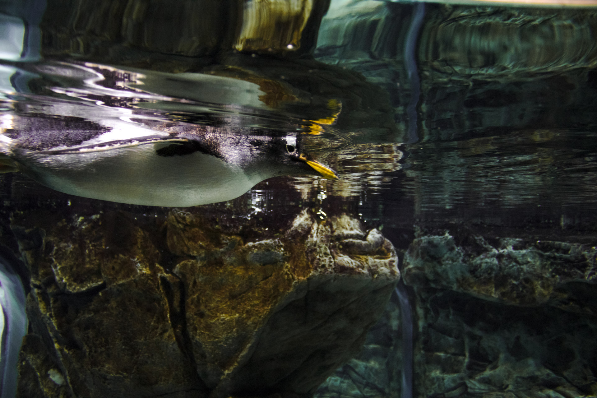 Peeking at the bottom