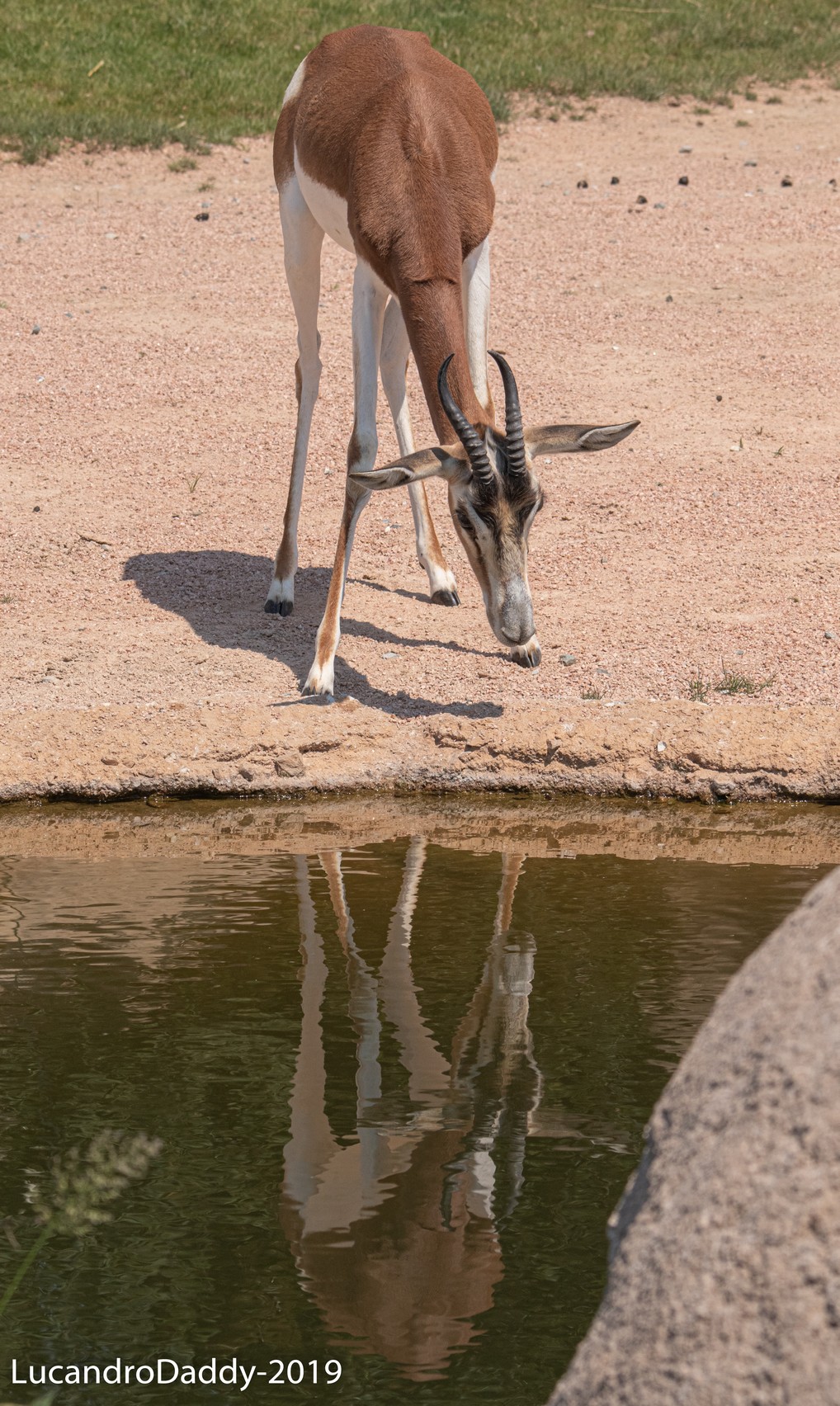Un po' di acqua non guasta proprio