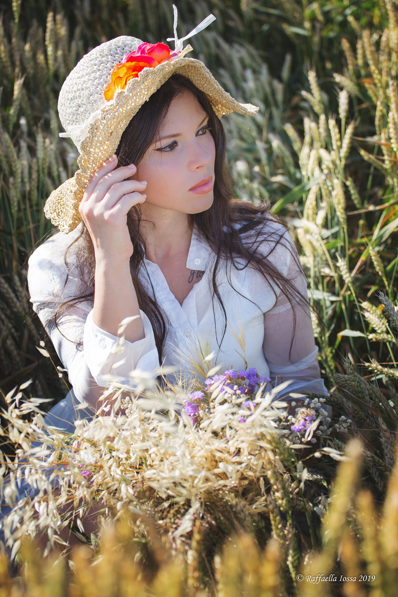 Qualche scatto prima della trebbiatura..