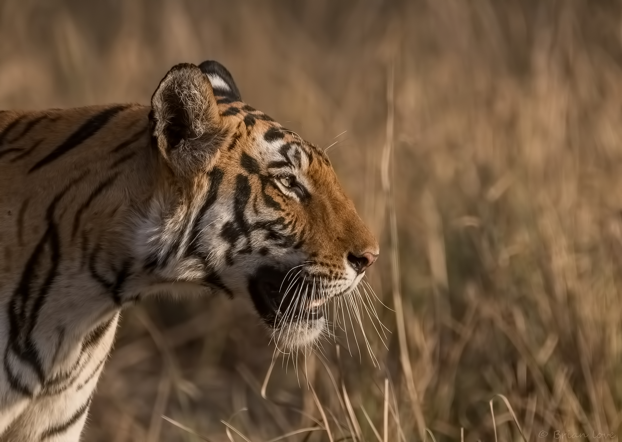 Walking to the Setting Sun!