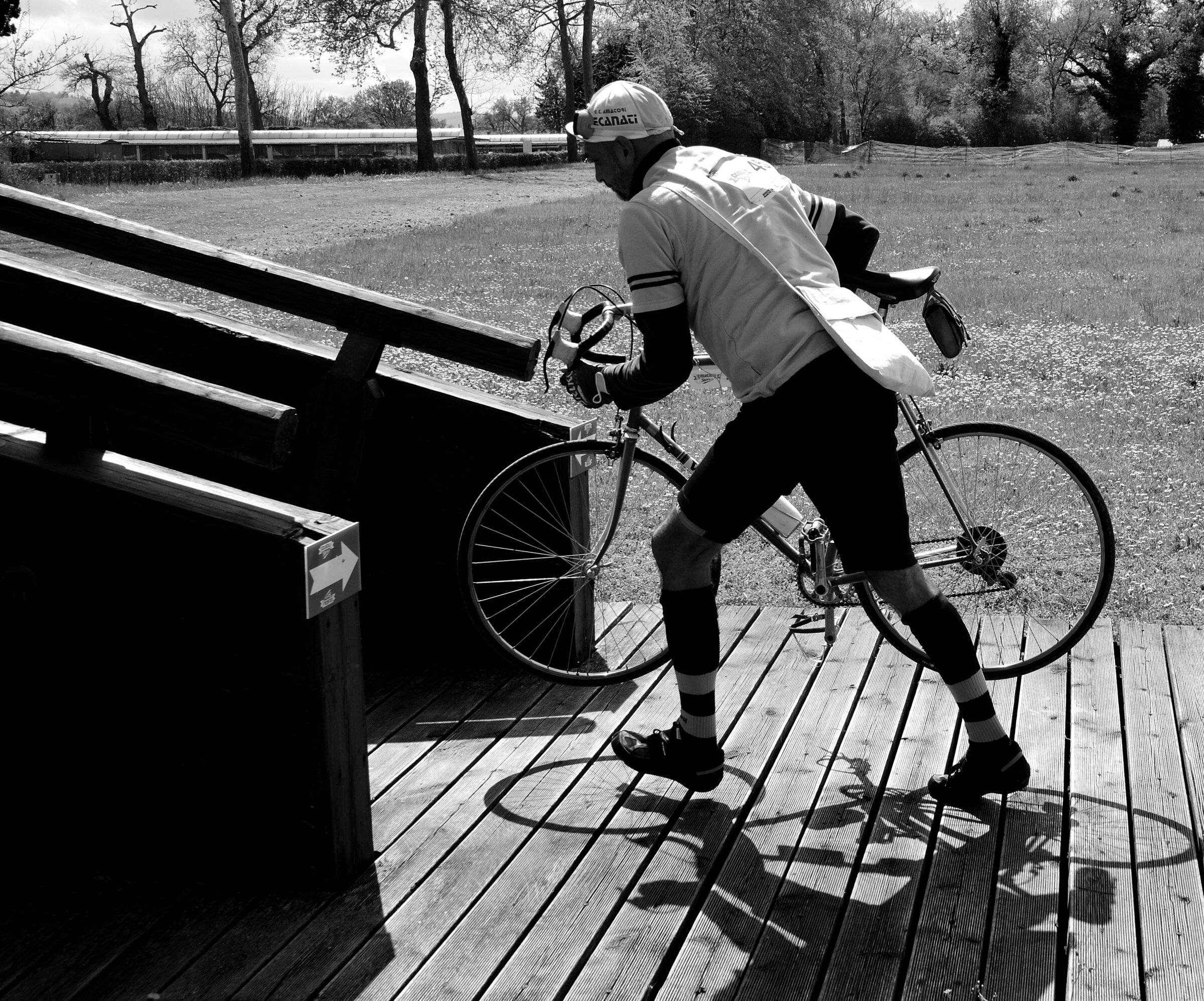 Life is made at scales