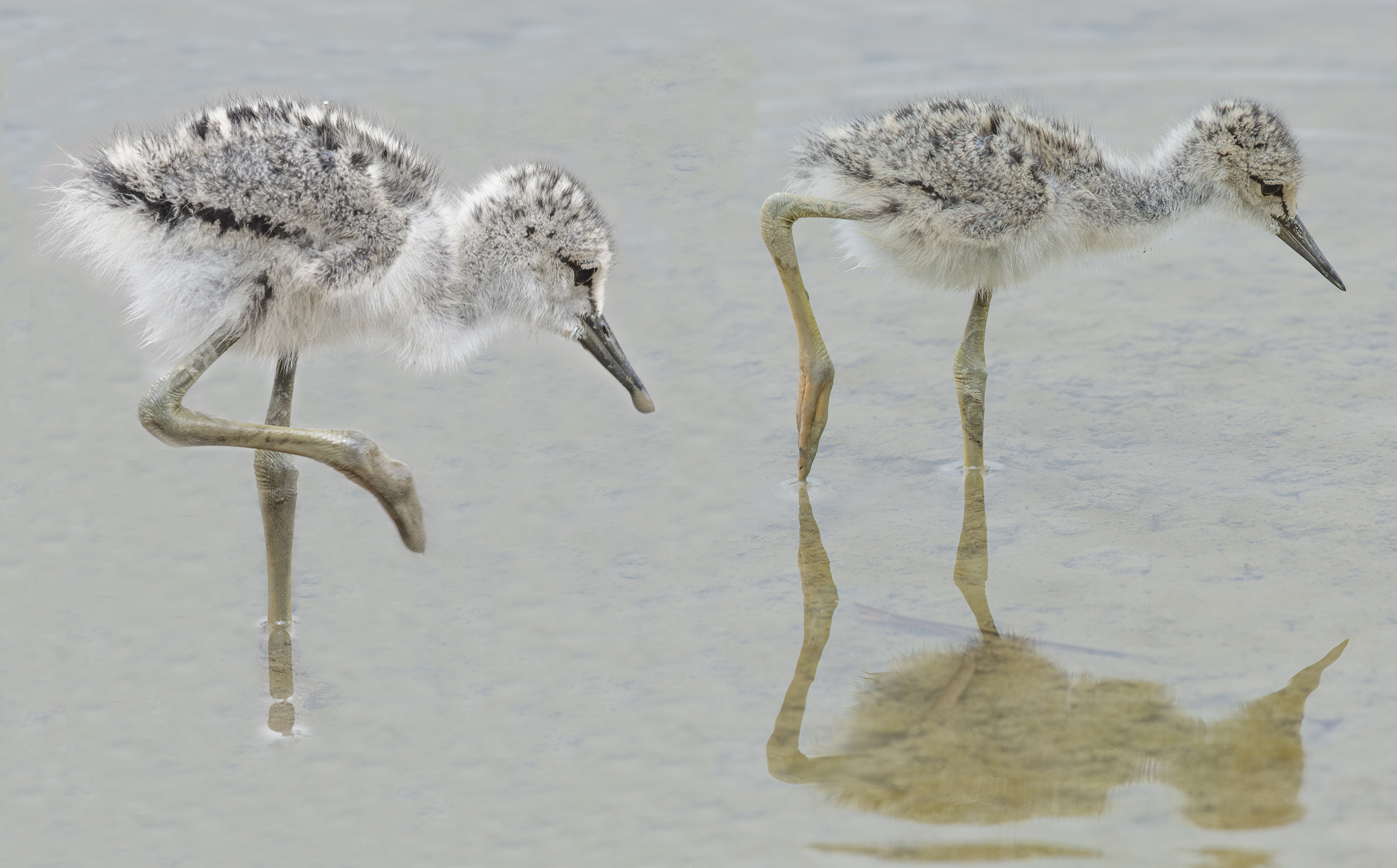 40 il byte è naturale...
