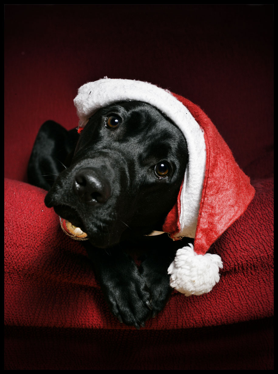 Merry Christmas from my Nena :)