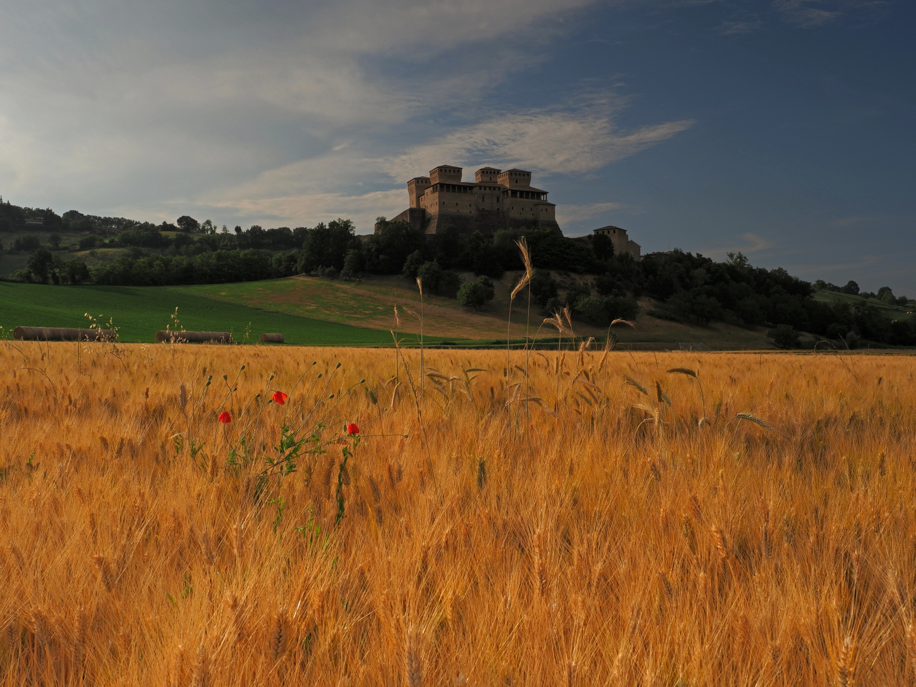 L'oro di Torrechiara
