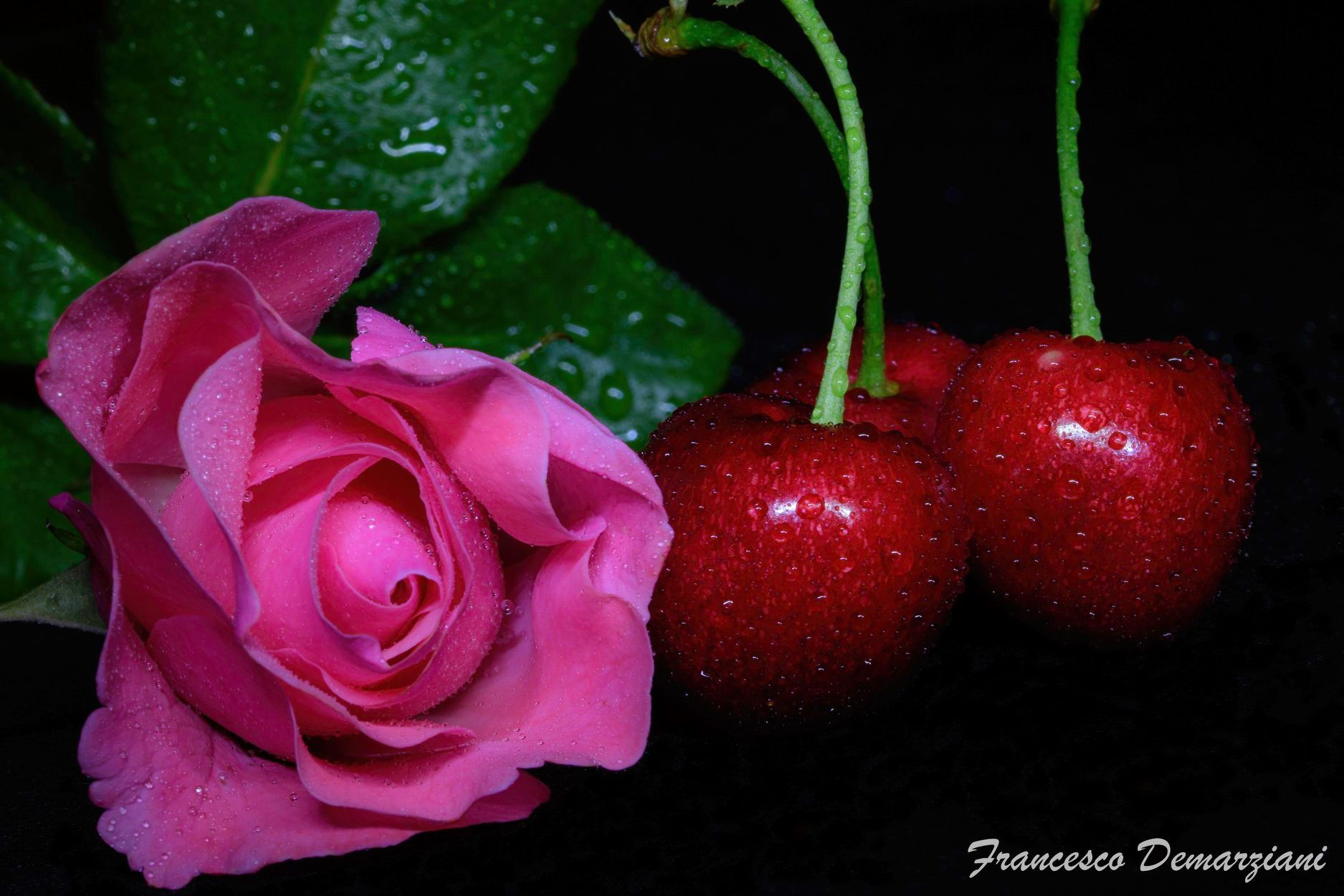 La rosa e le rosse...
