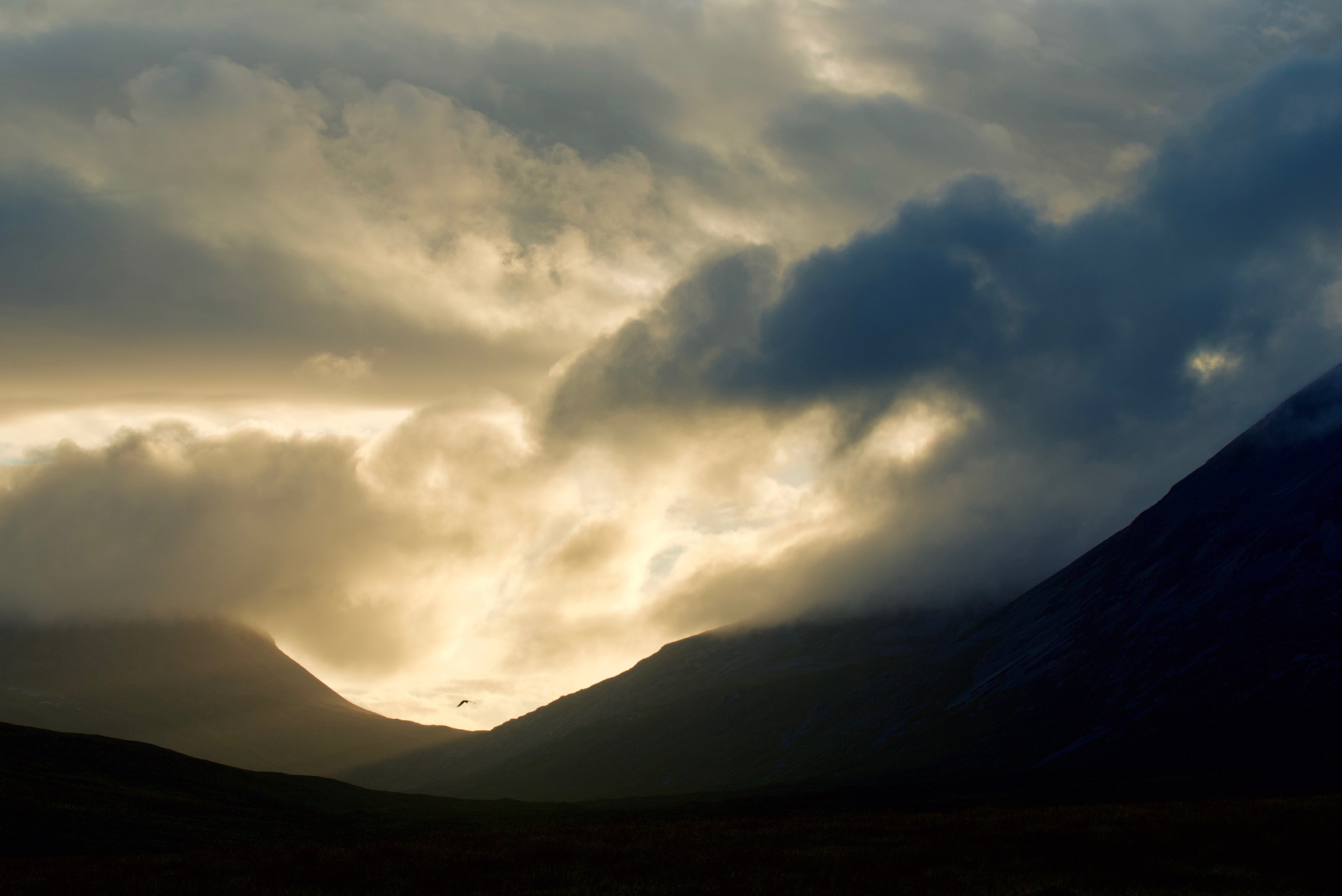 Golden Eagle, Jura