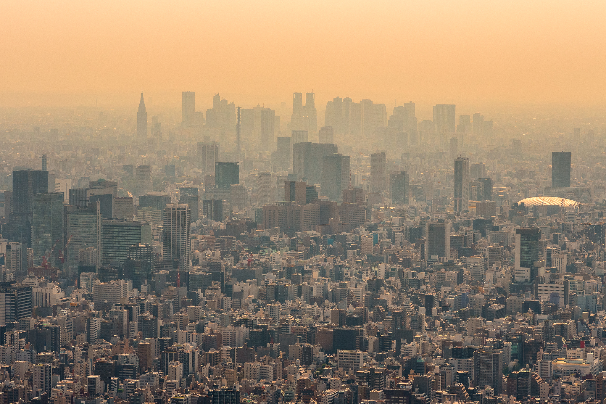 Infinitely Japaneeseeee