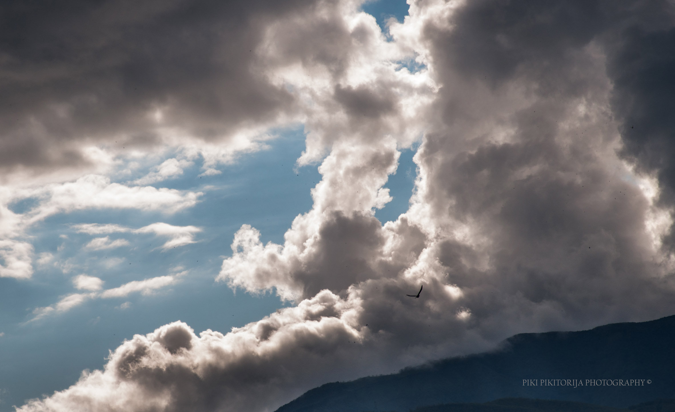 Un anno guardando le nuvole