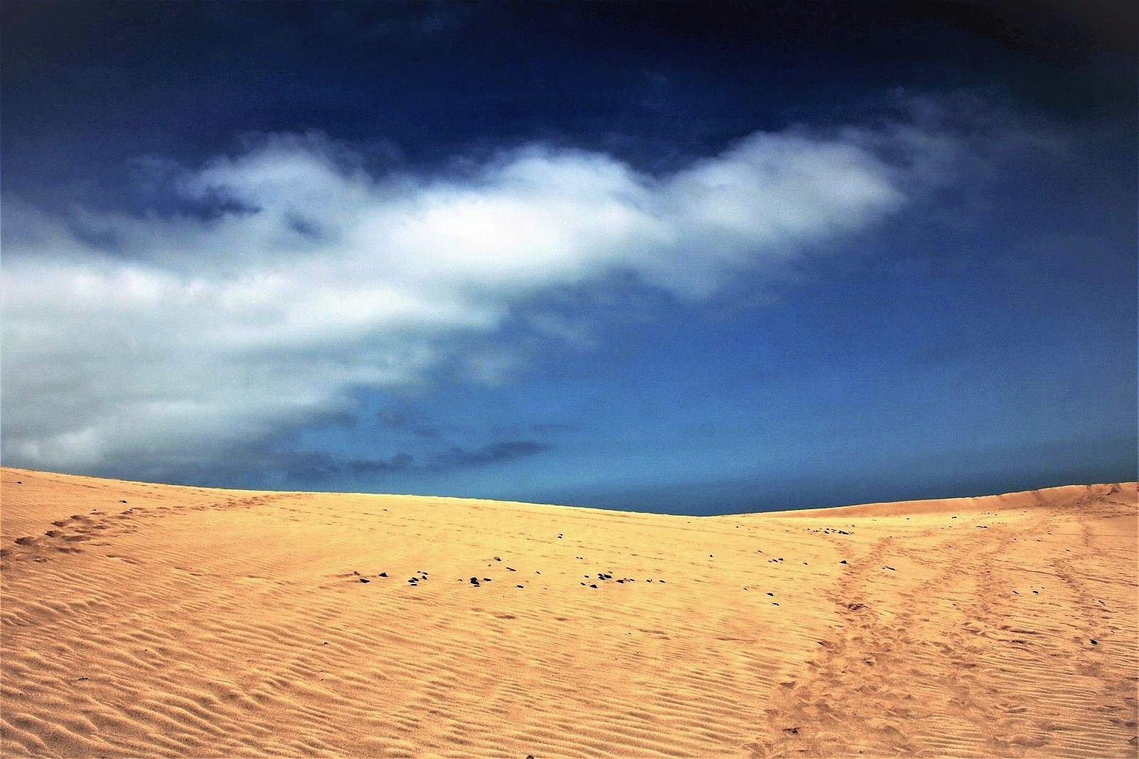 The moon and the cloud