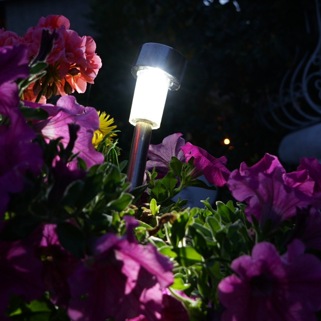 Photos at night (evidence)