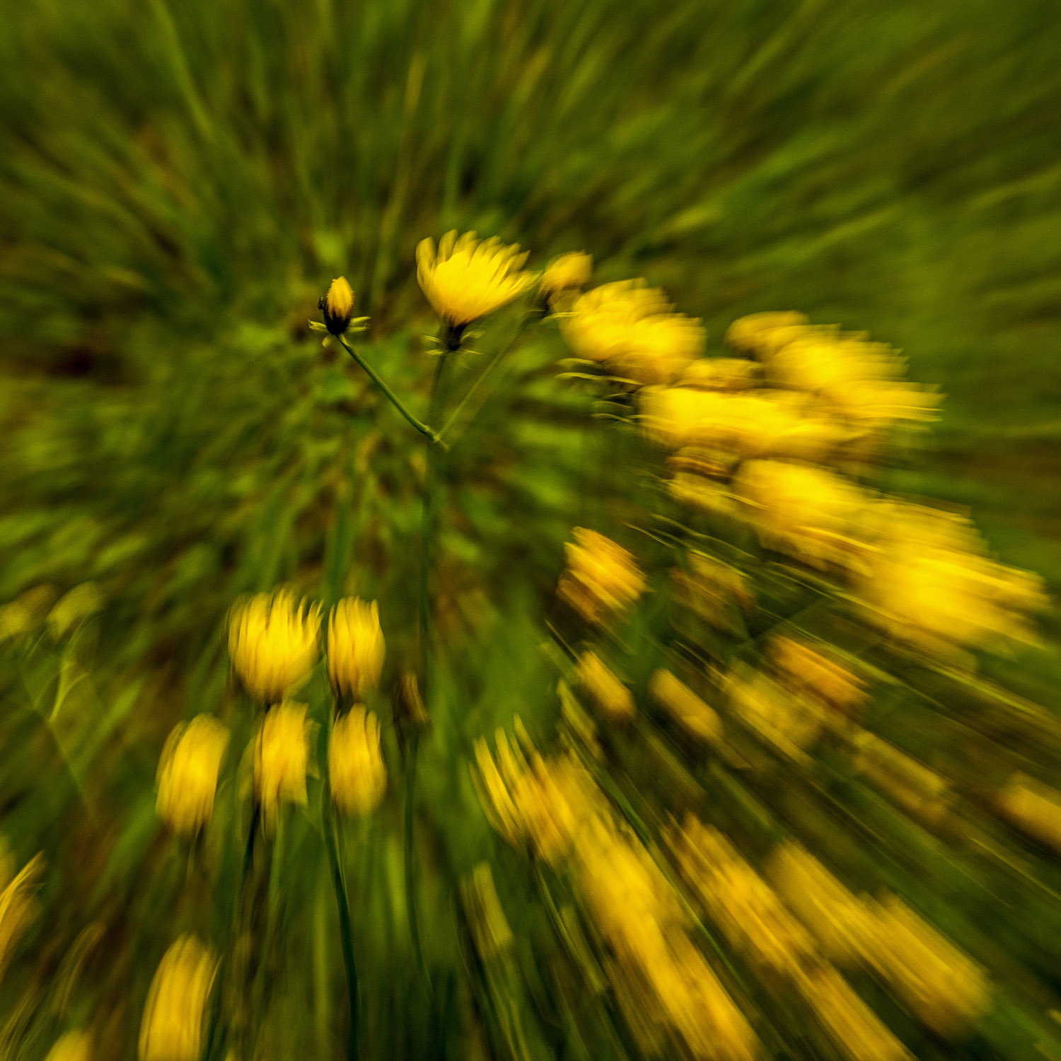 è scoppiata l'estate