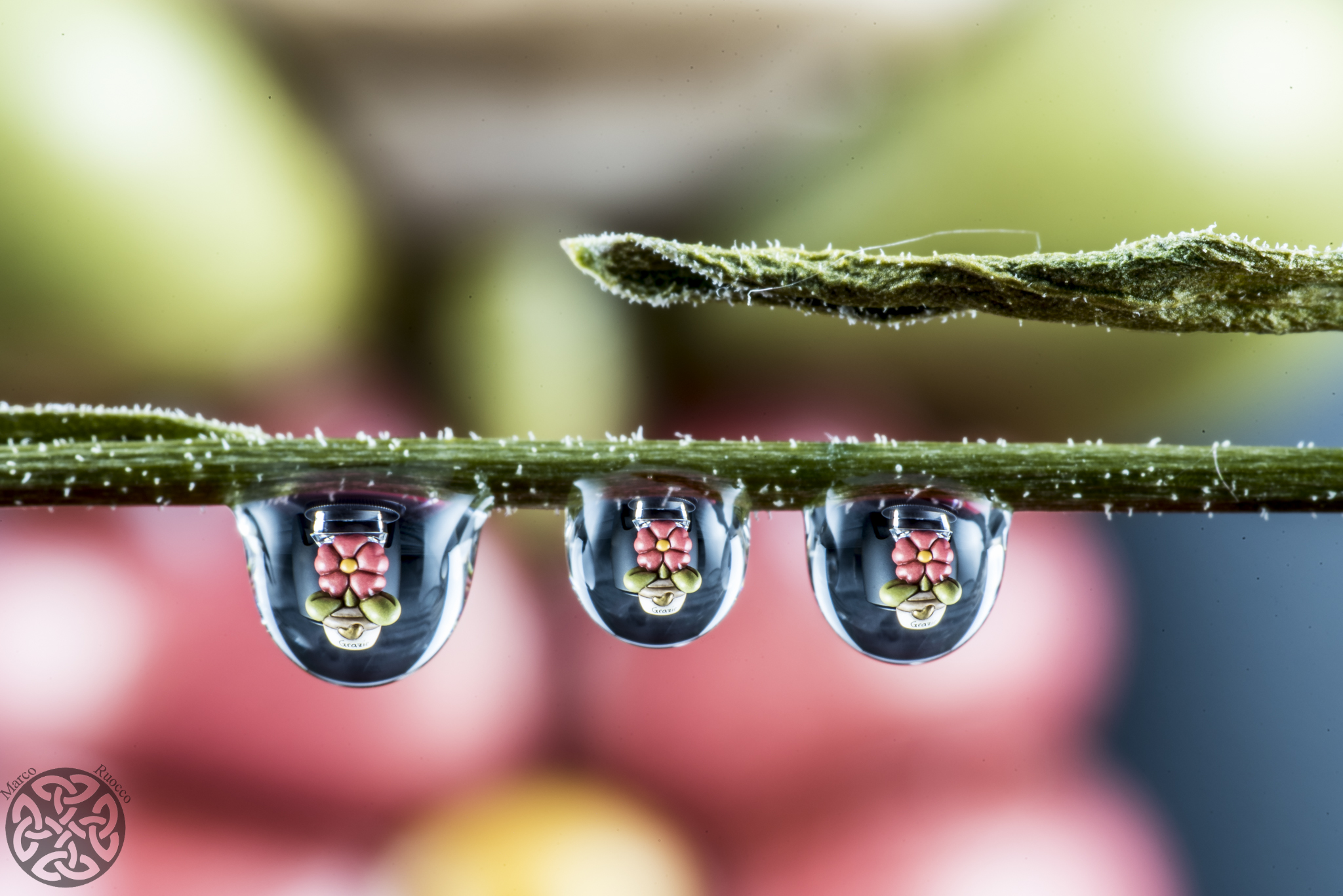 Thune present in droplets