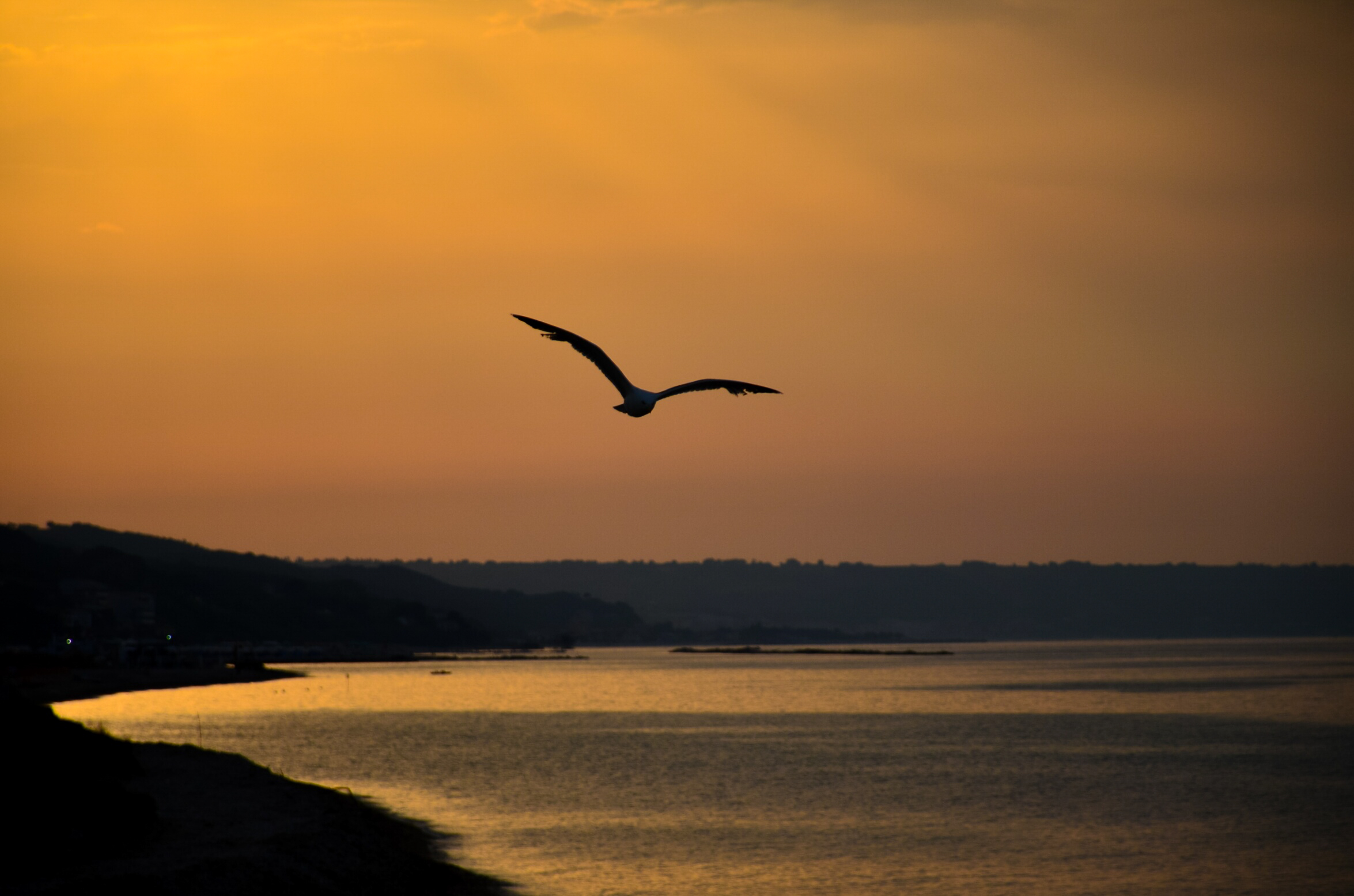 Tramonto a Casabordino Lido (Chieti) - con gabbiano
