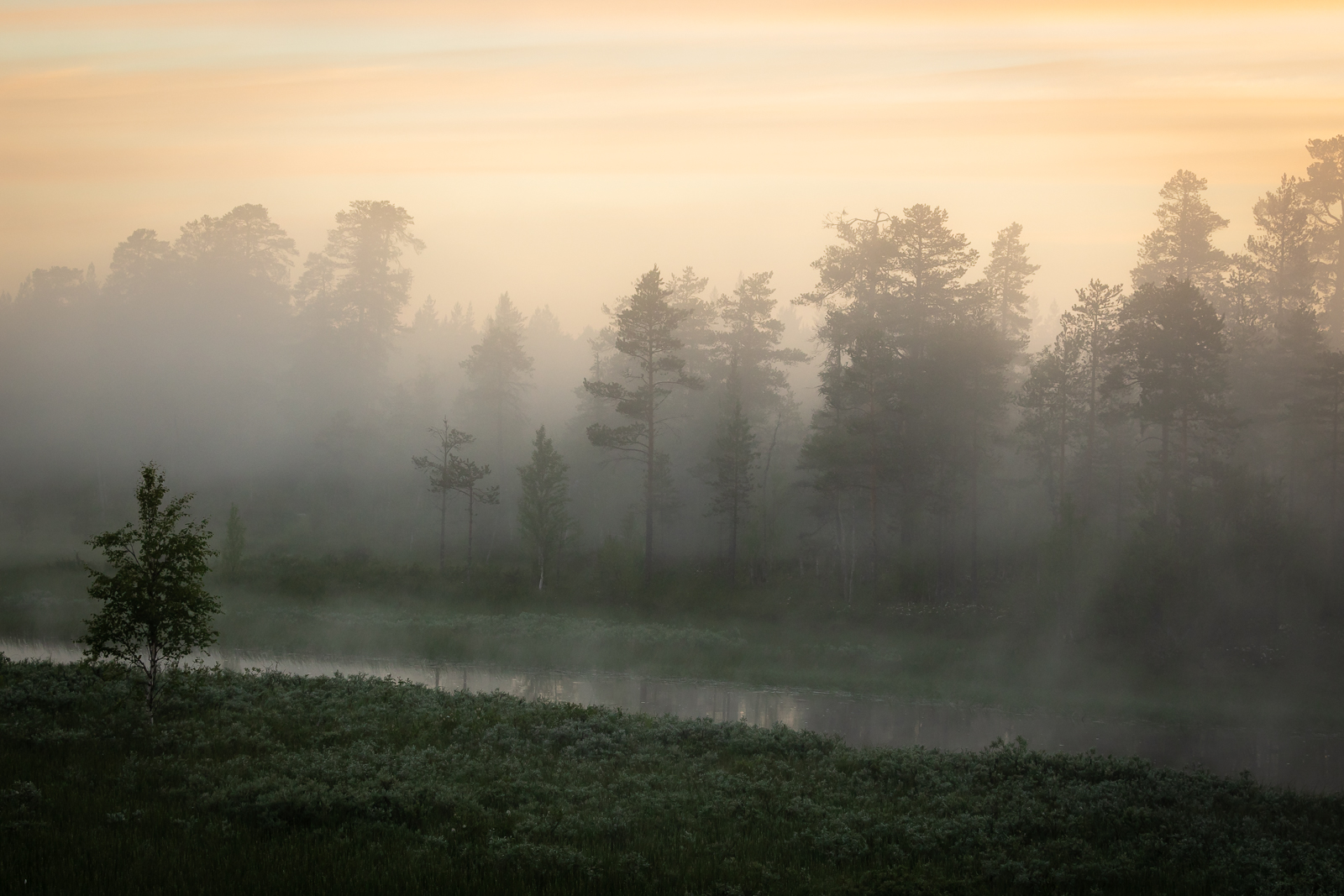 Midnight at midsummer, nothern Sweden