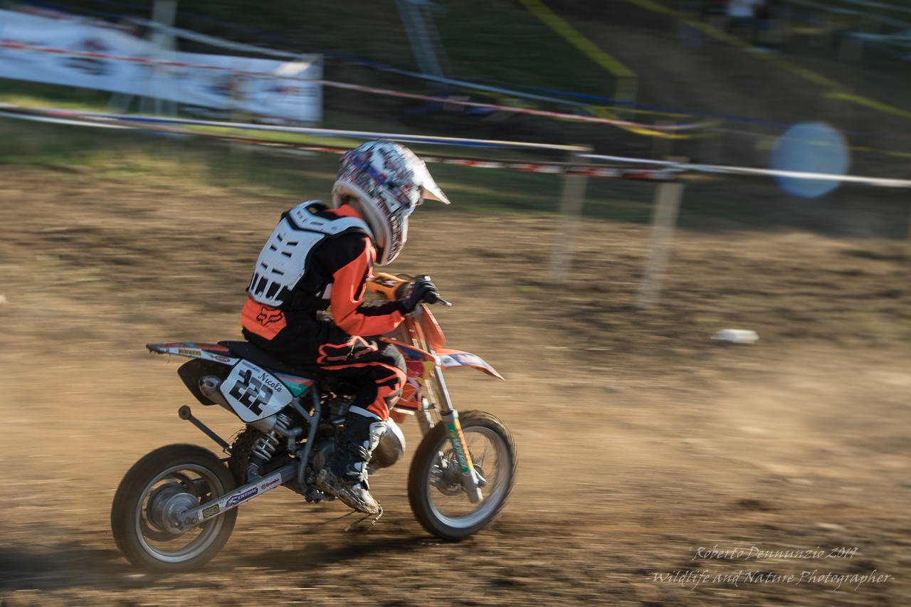 piccoletti e velocissimi