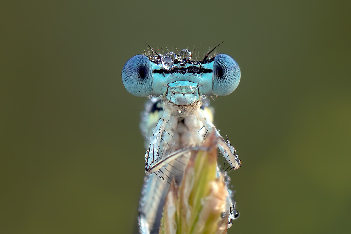 A me gli occhi...guardami, guardami!!