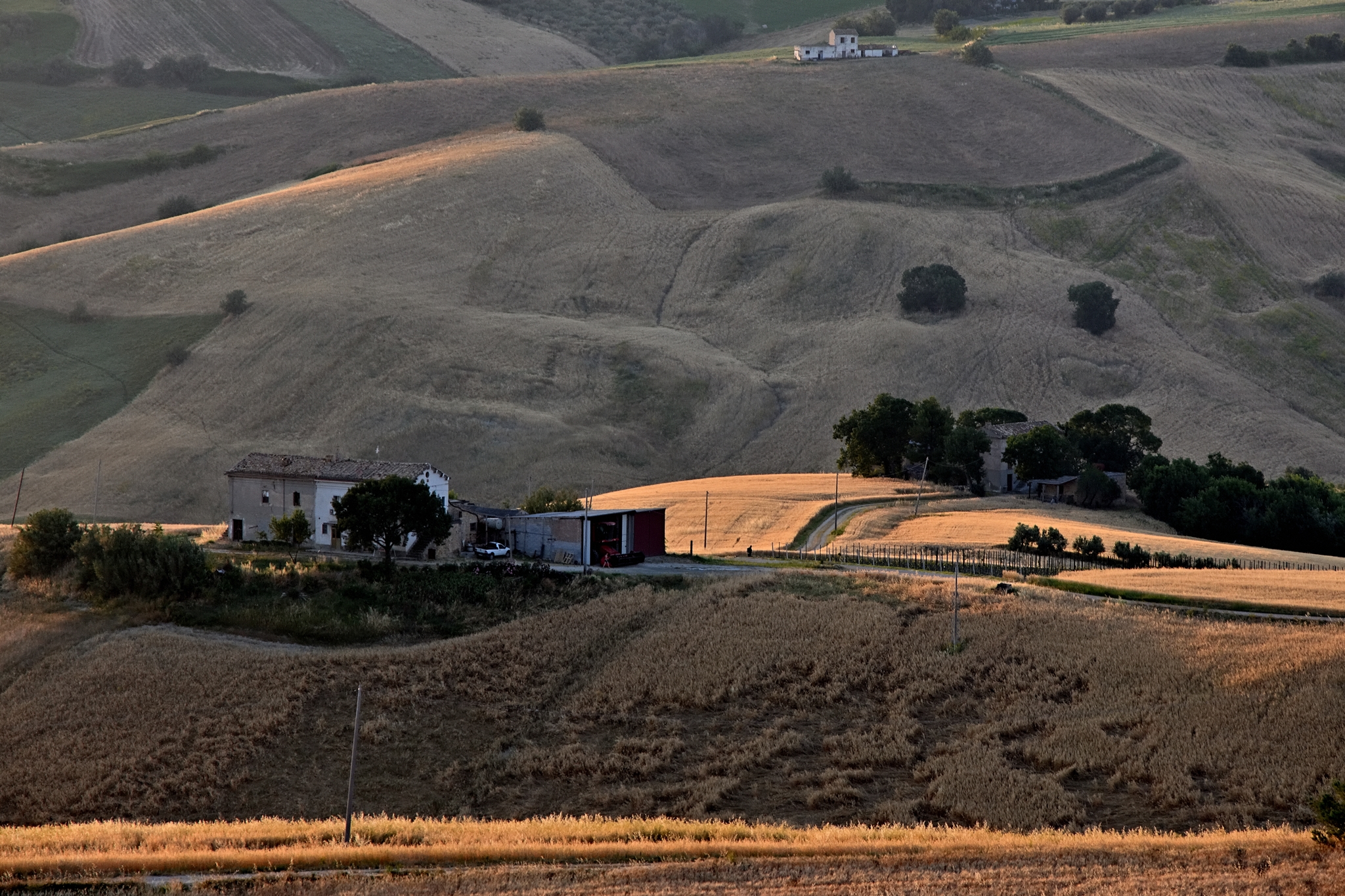 Continuano ad accogliere