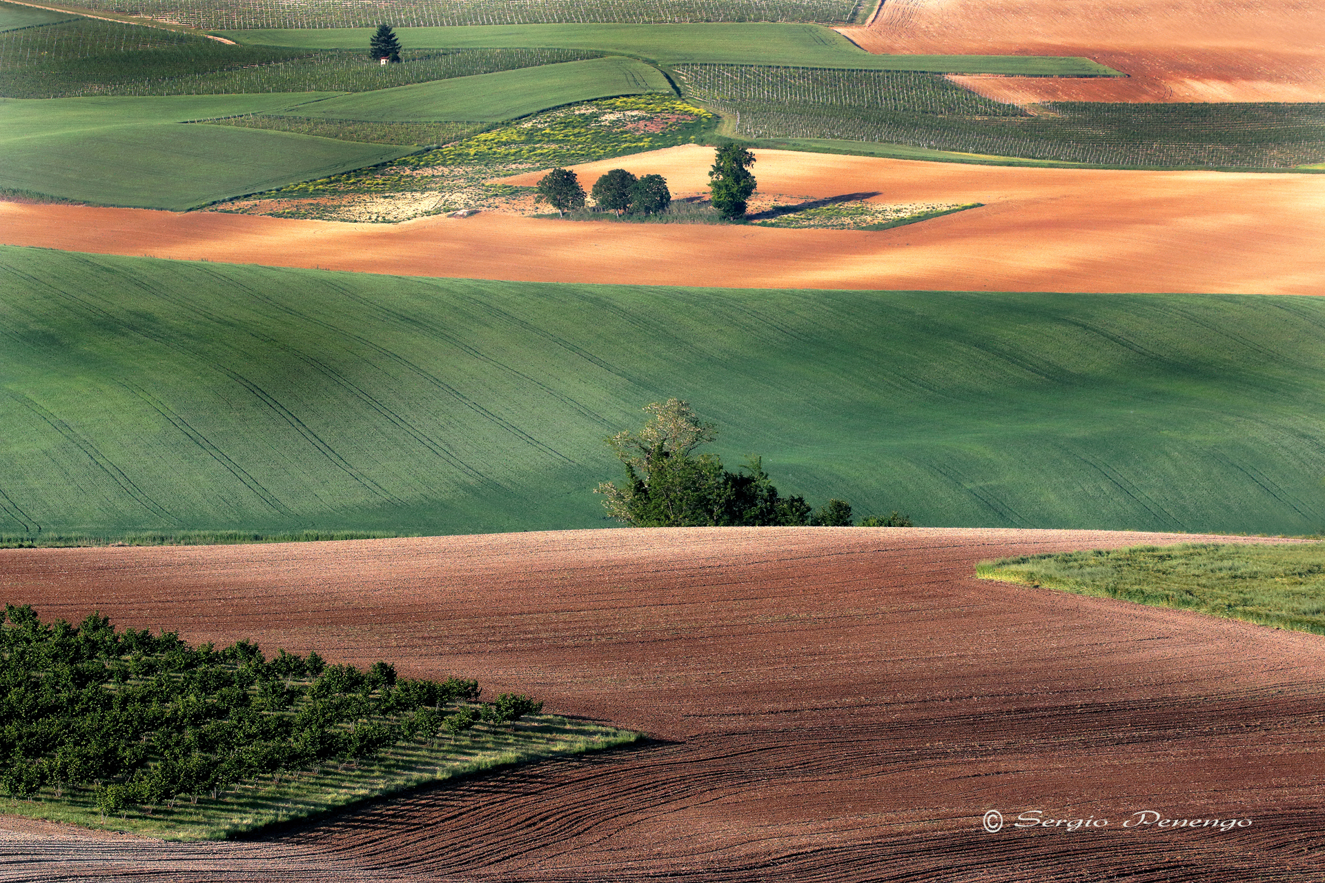 Paesaggio del Monferrato