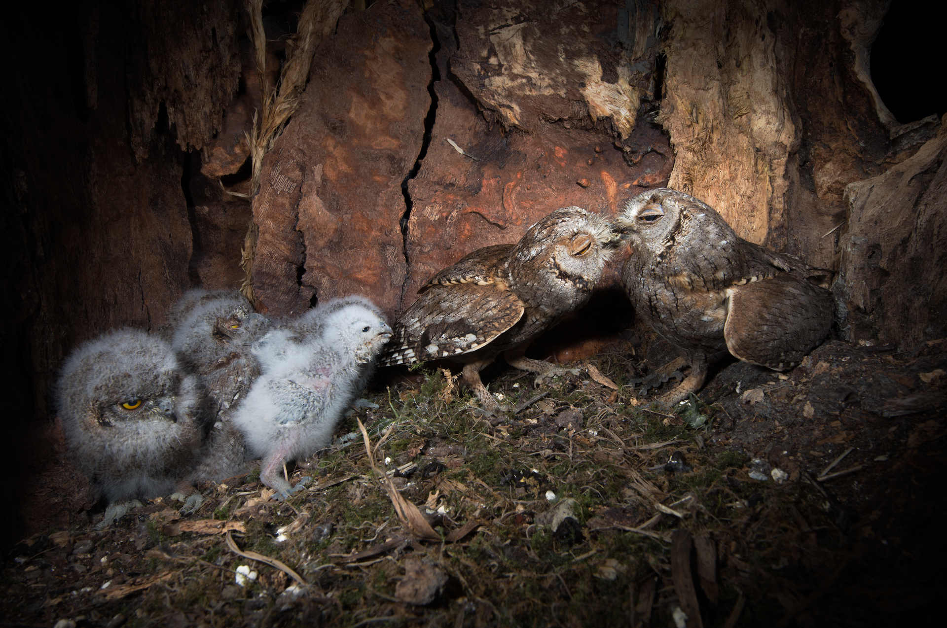 The hard work of parents