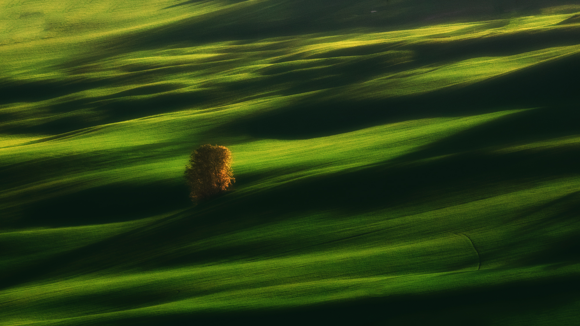 A glimpse of the countryside