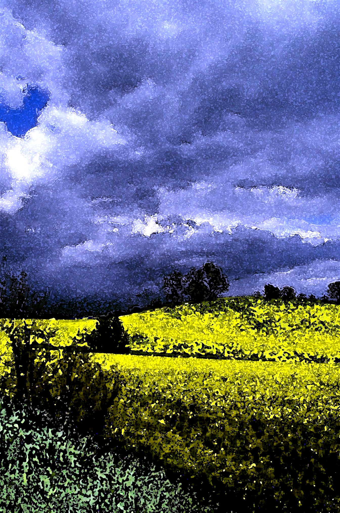 Omaggio a Van Gogh