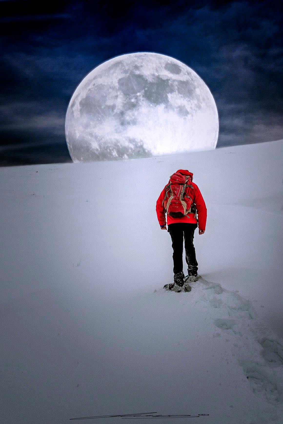 Sognando la luna