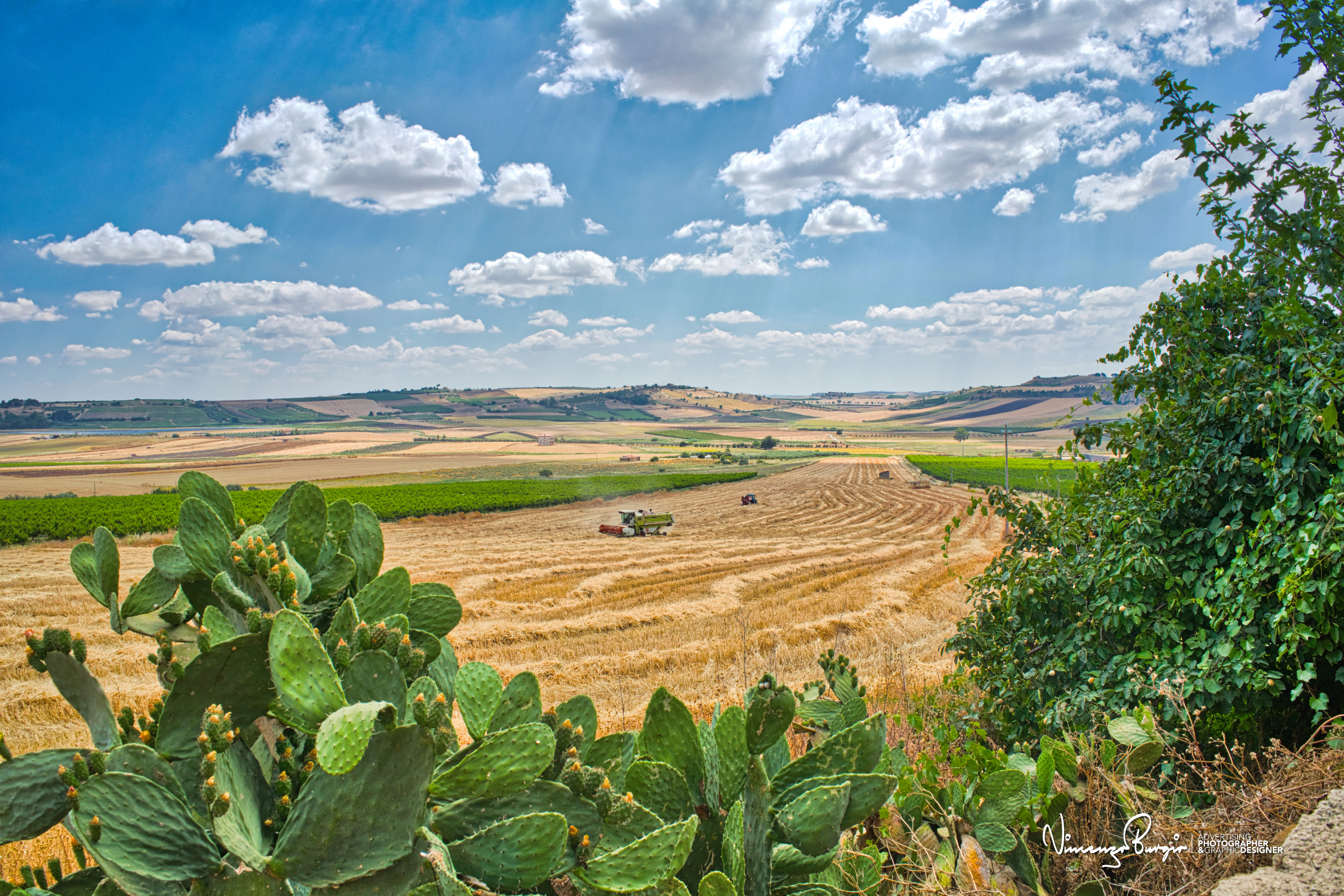 Near Delia (AG) - Sicily