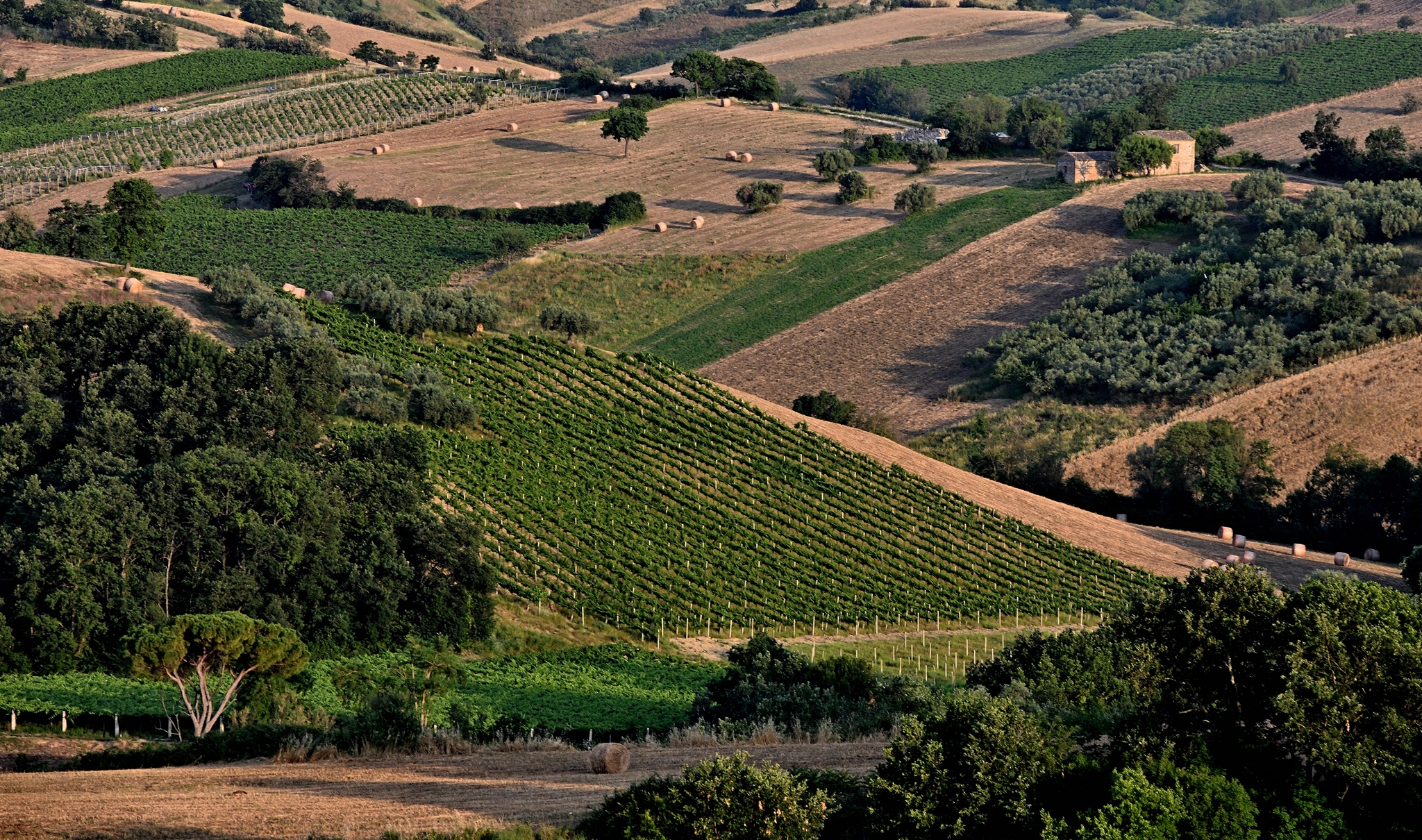 Classic Abruzzo countryside