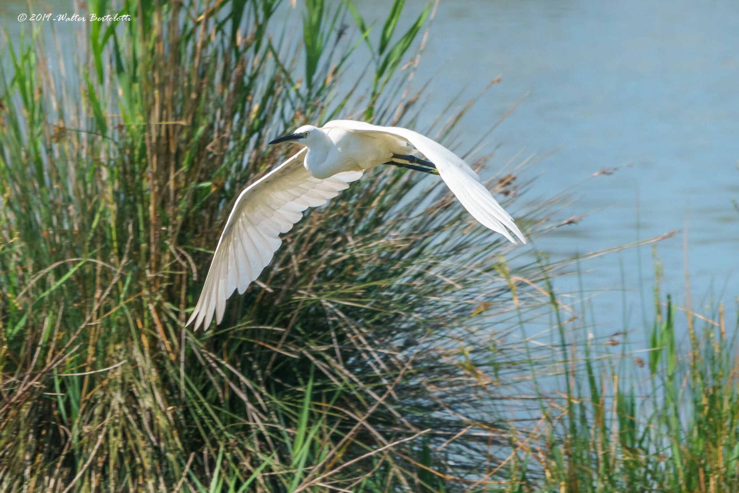 in-flight