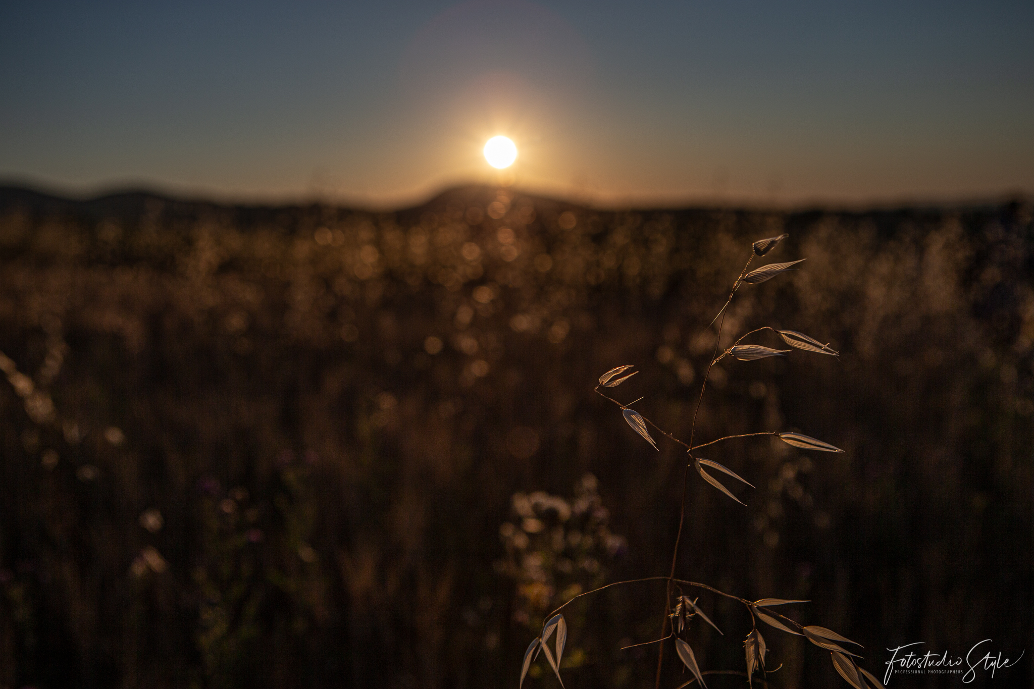 Le prime luci dell'alba