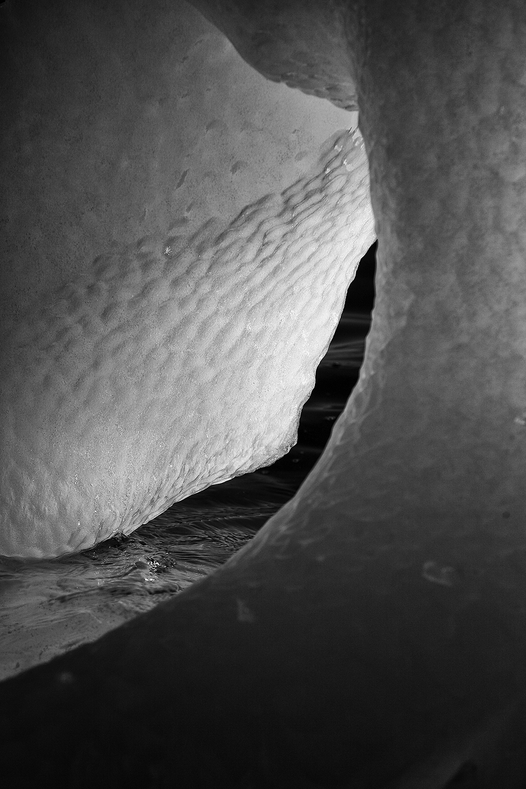 Iceberg - fiordo di Sermilik