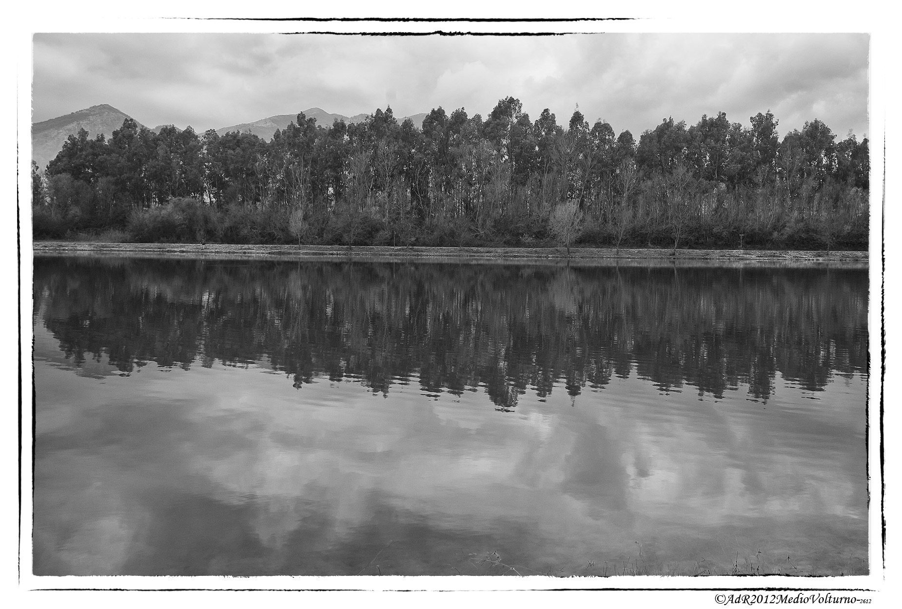 Laghetta con trote e lucci