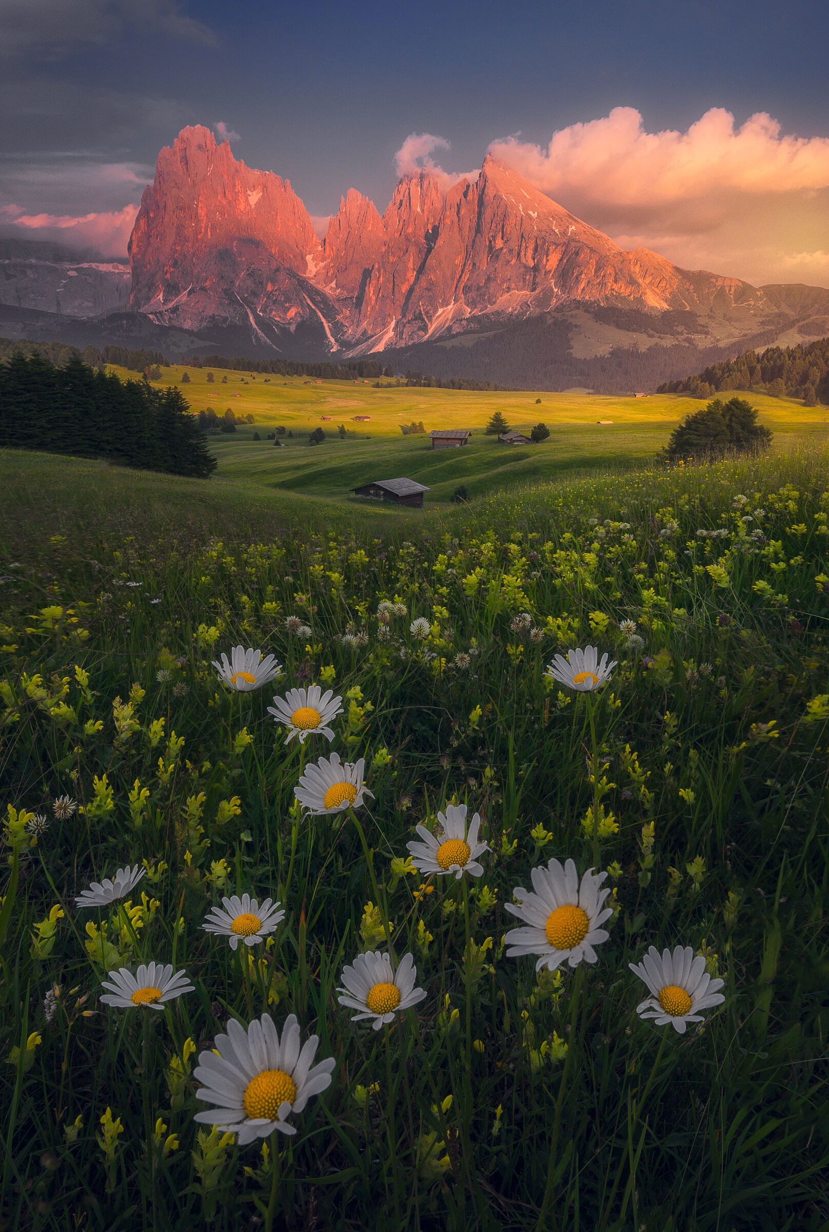 Alpe di Siusi