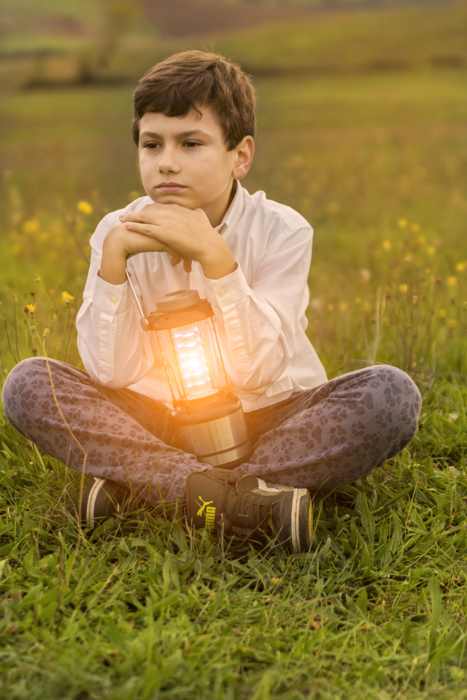 Sarà magica questa lampada...?