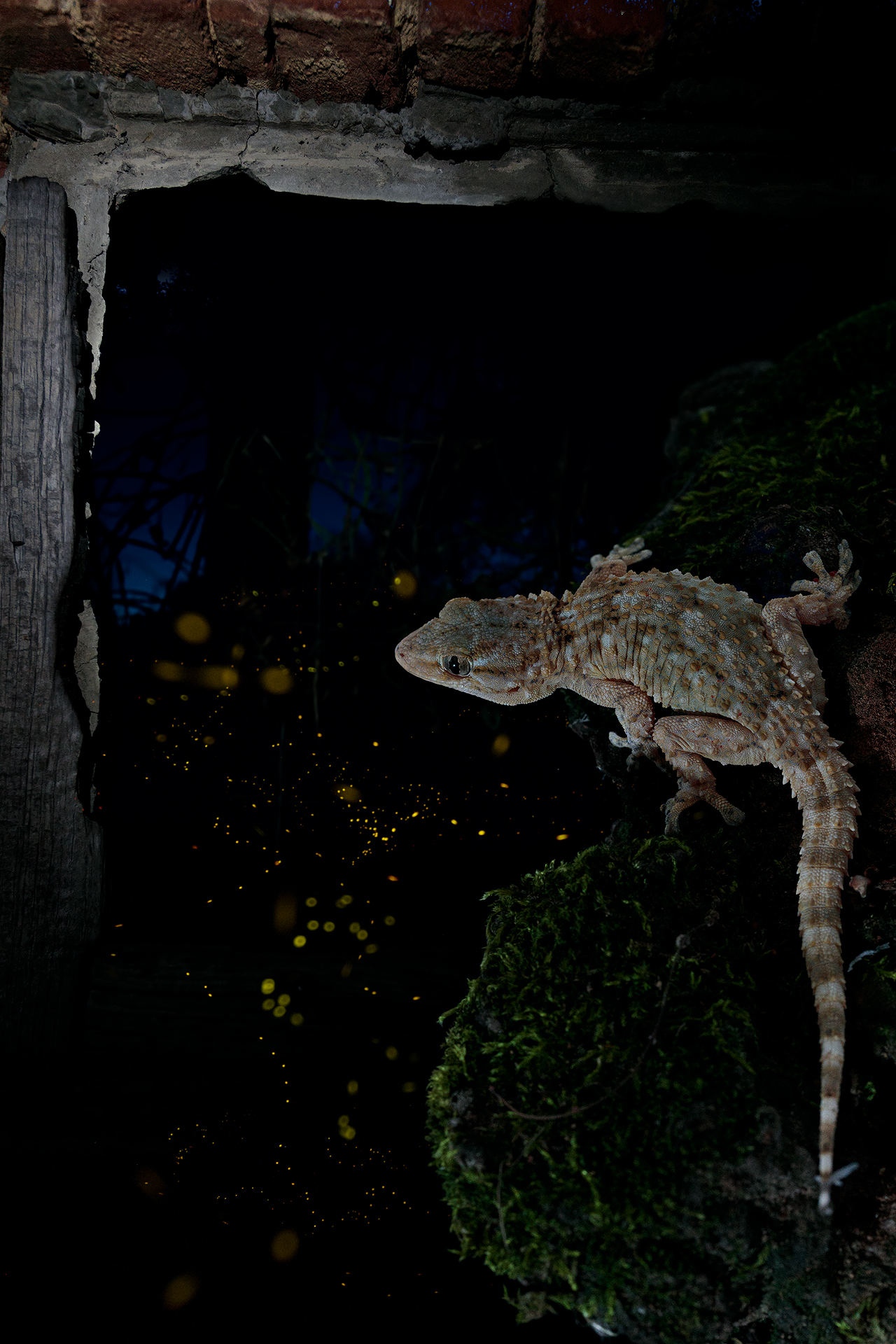 Interpretation.... Summer.