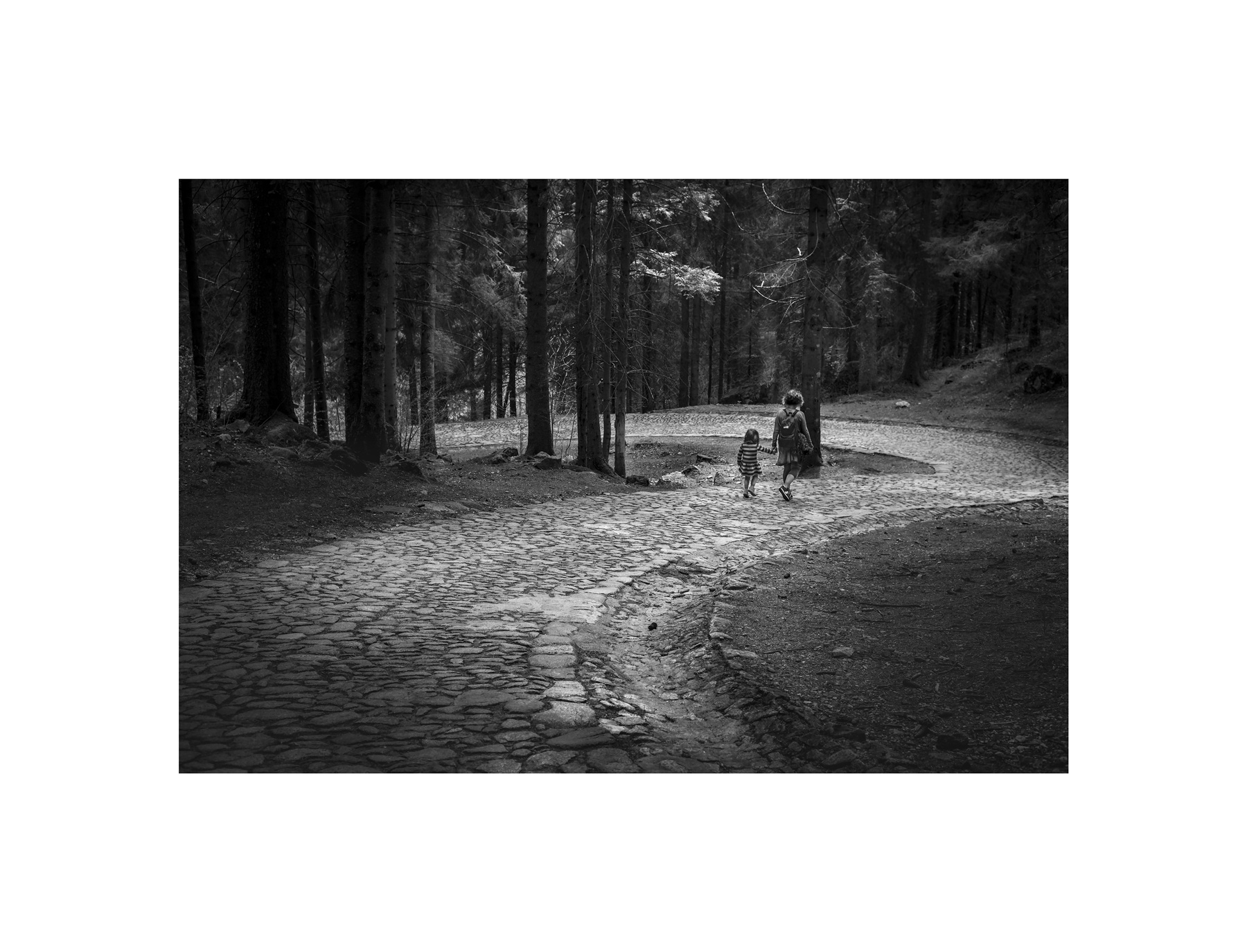 Non temere ti accompagnio io nel bosco...