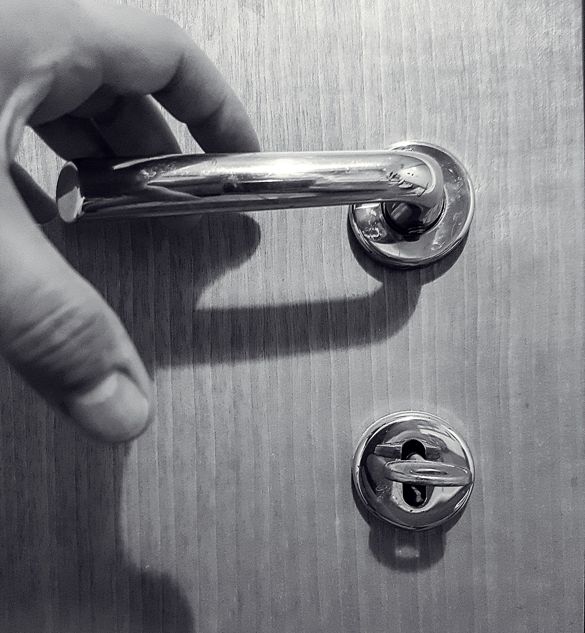 Libera interpretazione