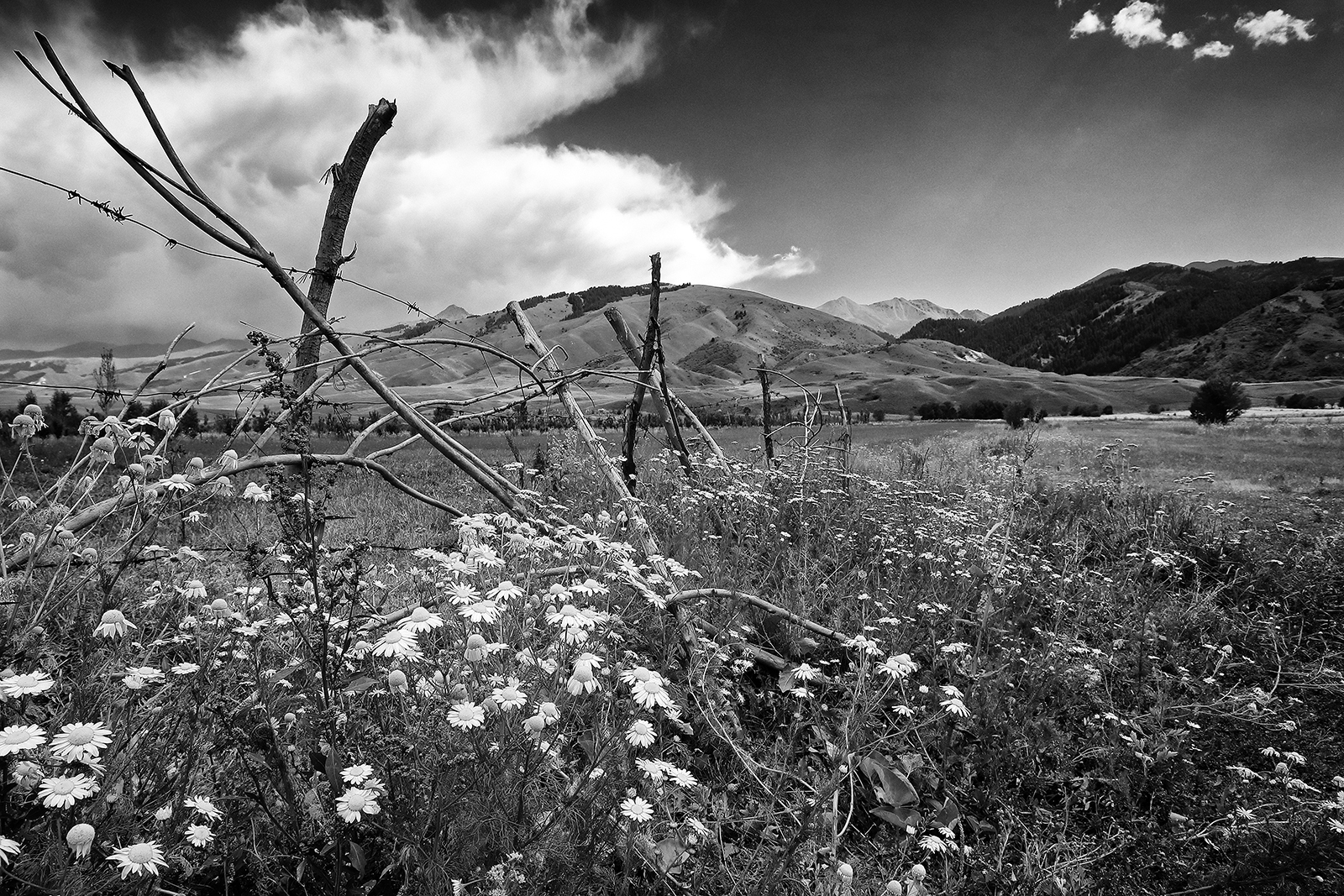 parco nazionale di Chong-Kemin