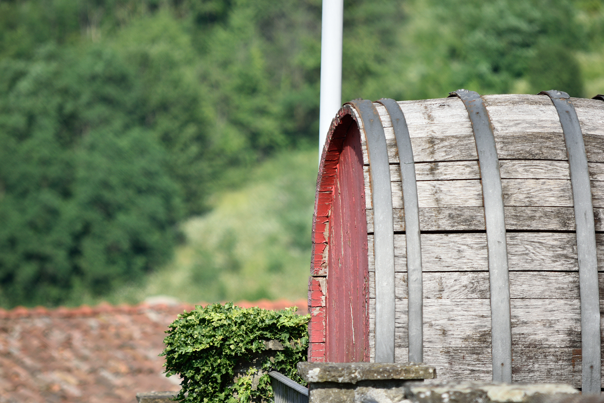 Botte mezza vuota o mezza piena?